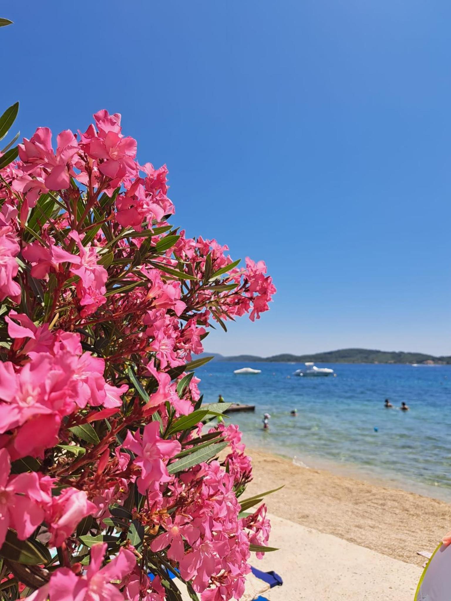 Azul Vodice view 4