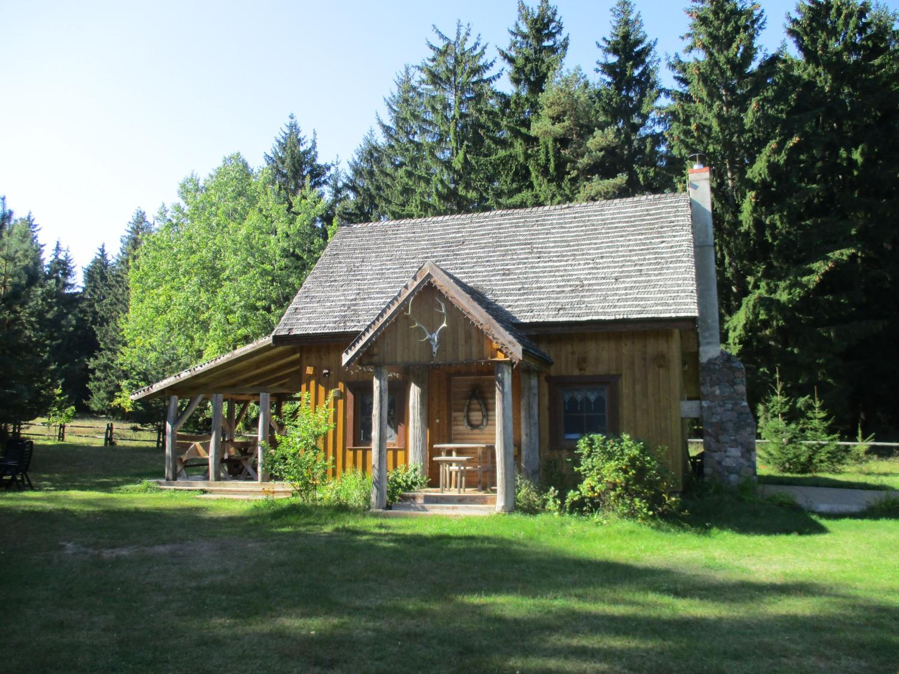 Photo 41