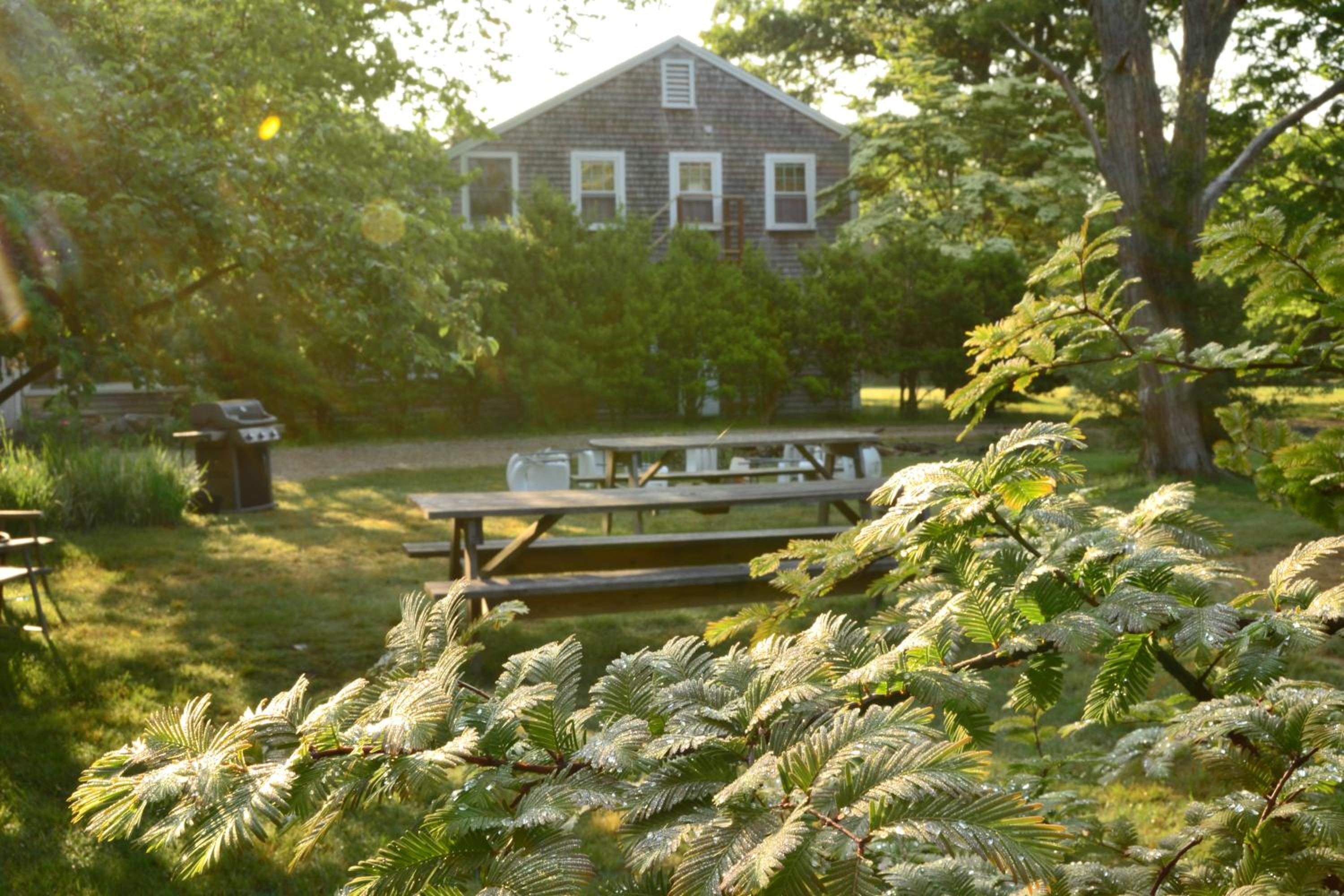 HI - Martha's Vineyard Hostel