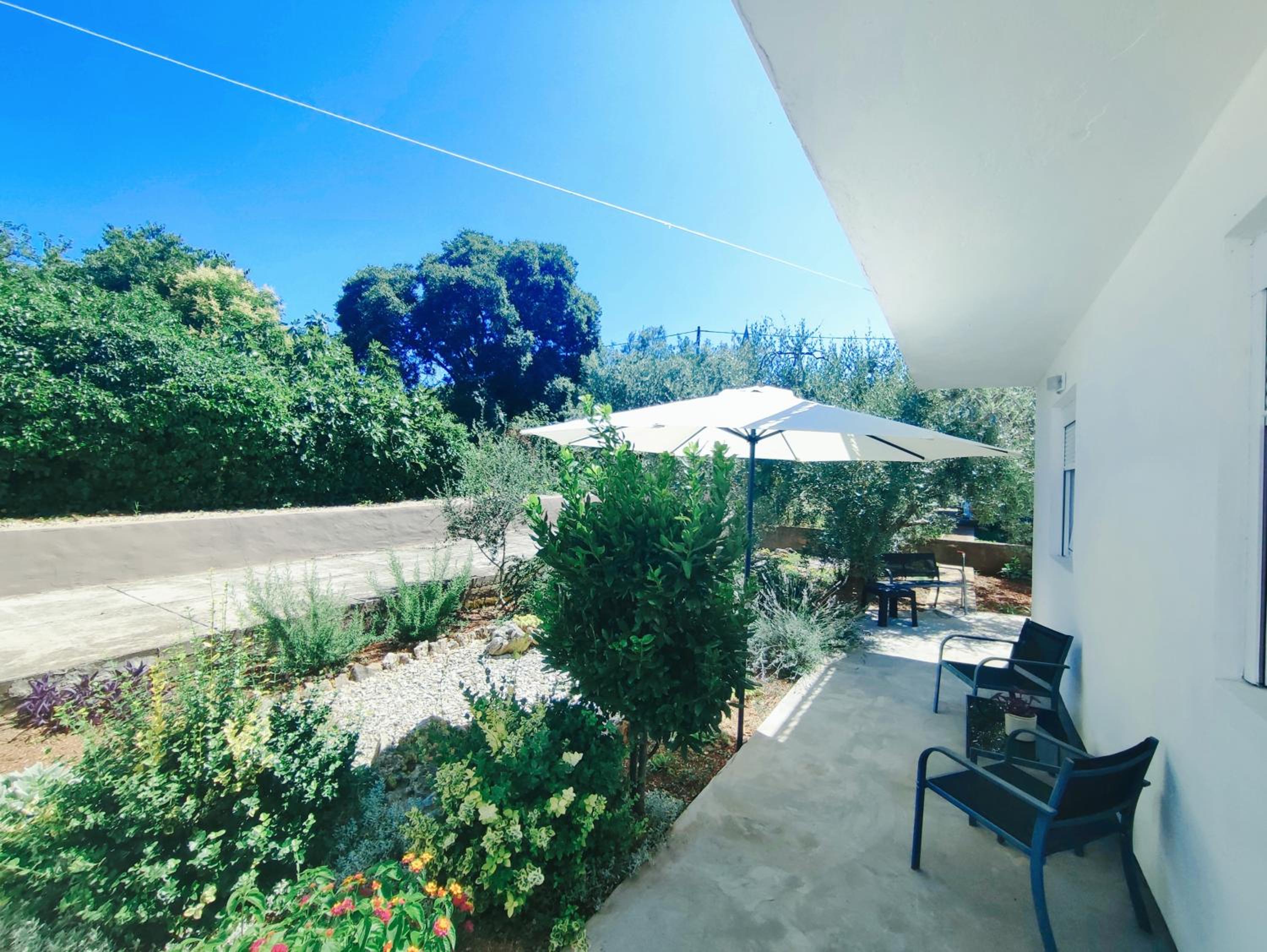 Garden view 4