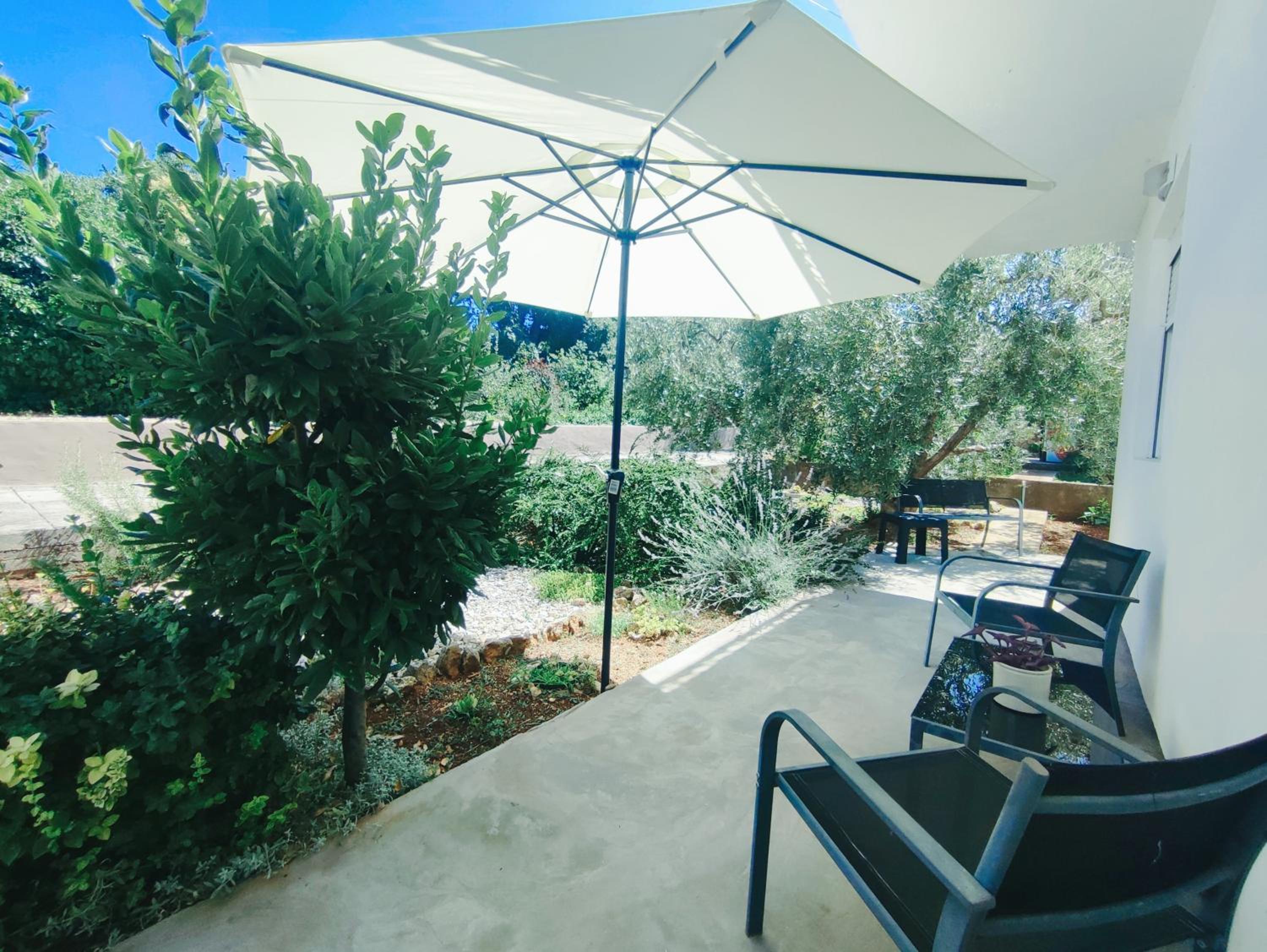Garden view 5