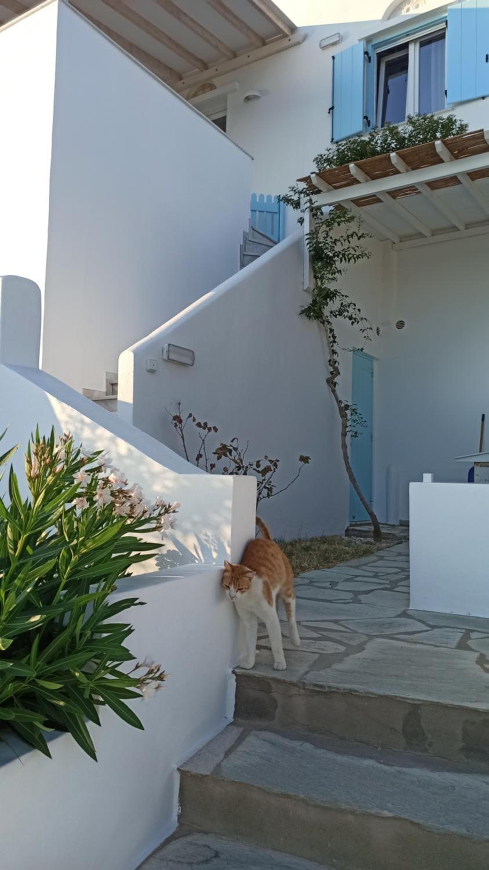 Aegean Dream Apartments view 2