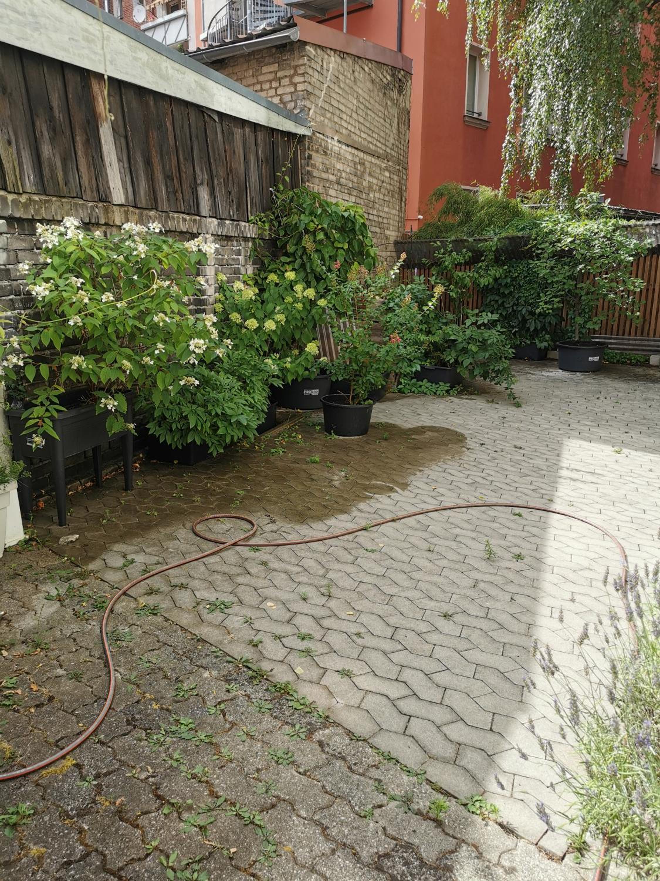 Photo 28