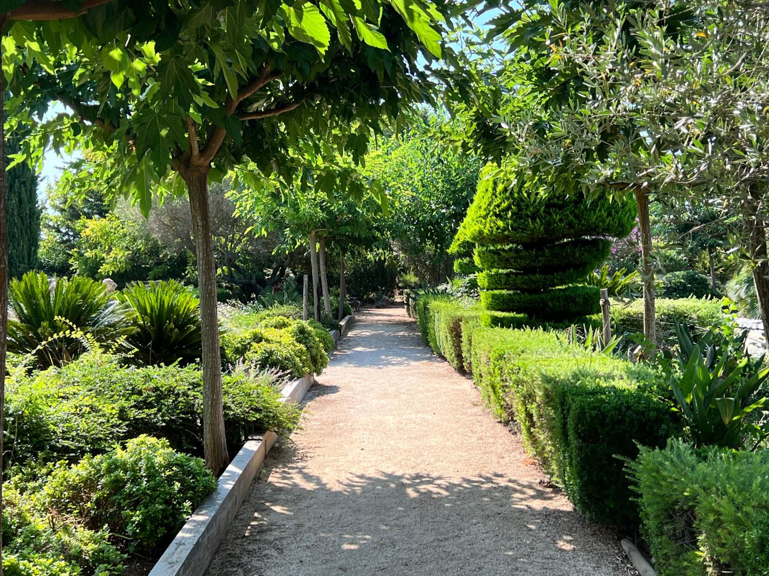 Photo 17