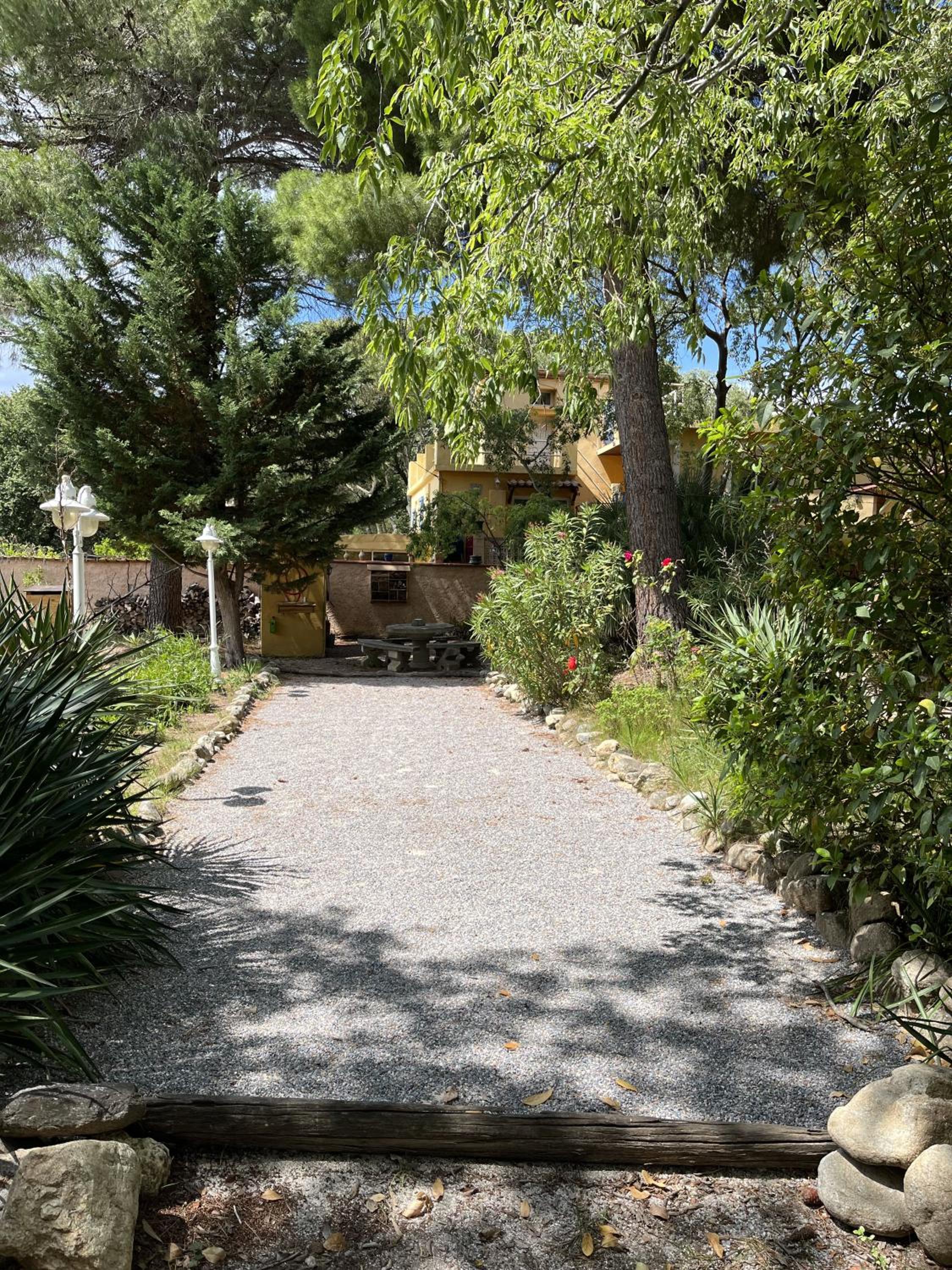 Photo 12