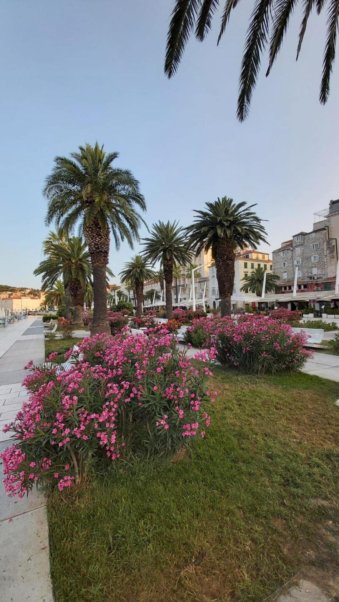 Studio Mali Jadran view 2