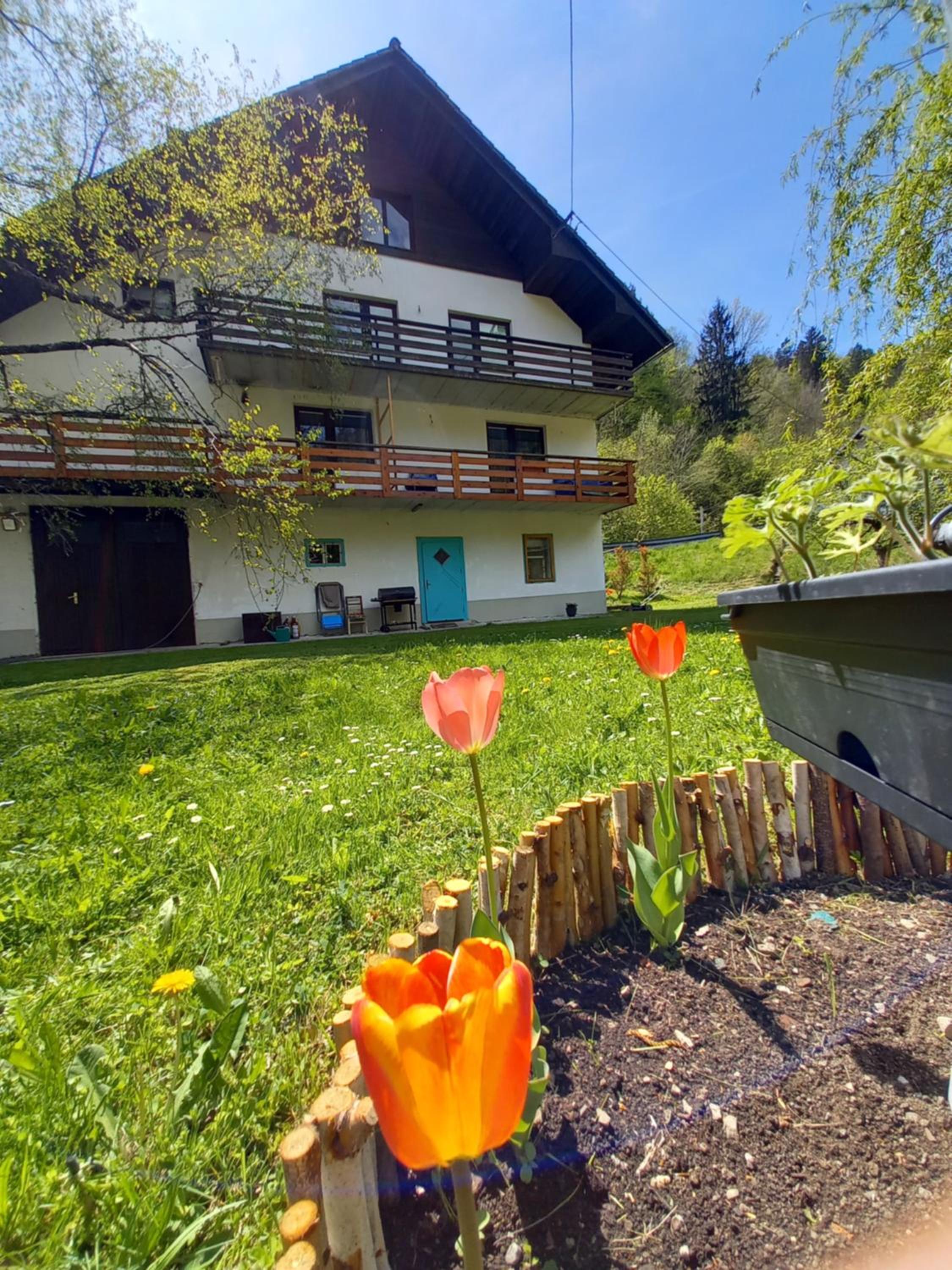 The RiverSide Chill Hostel