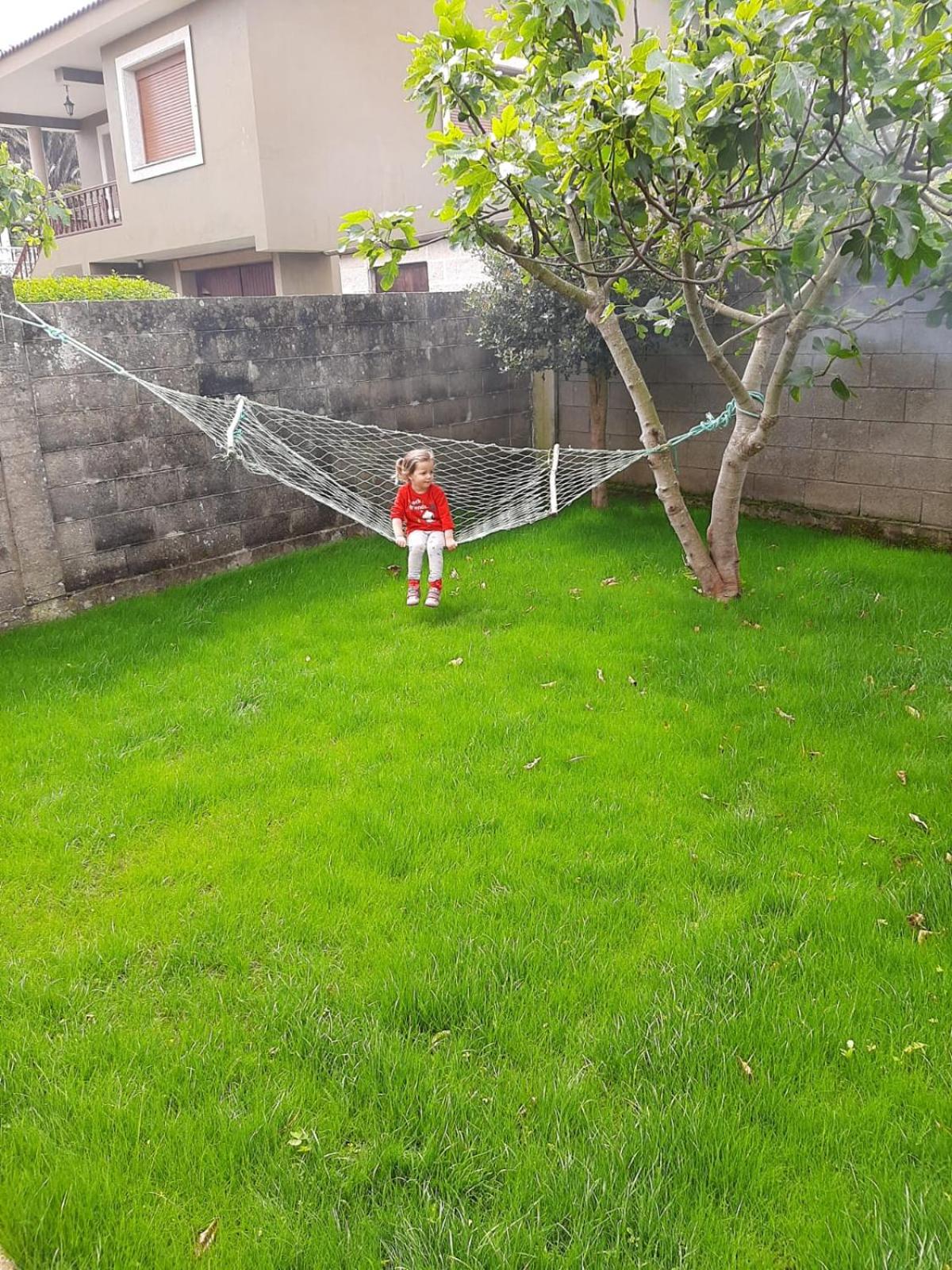 Insua photo 3