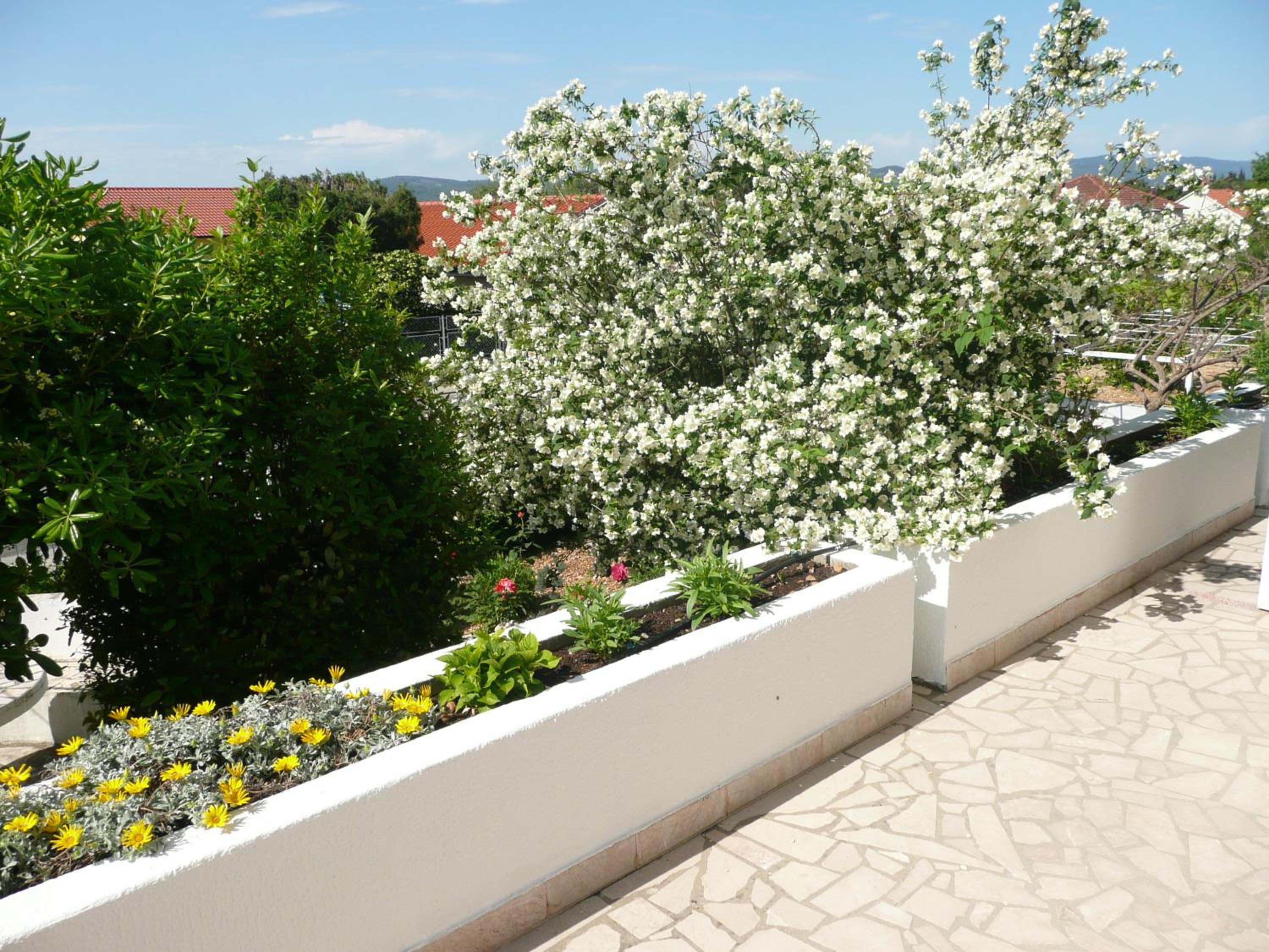 Apartment Nima Orebic