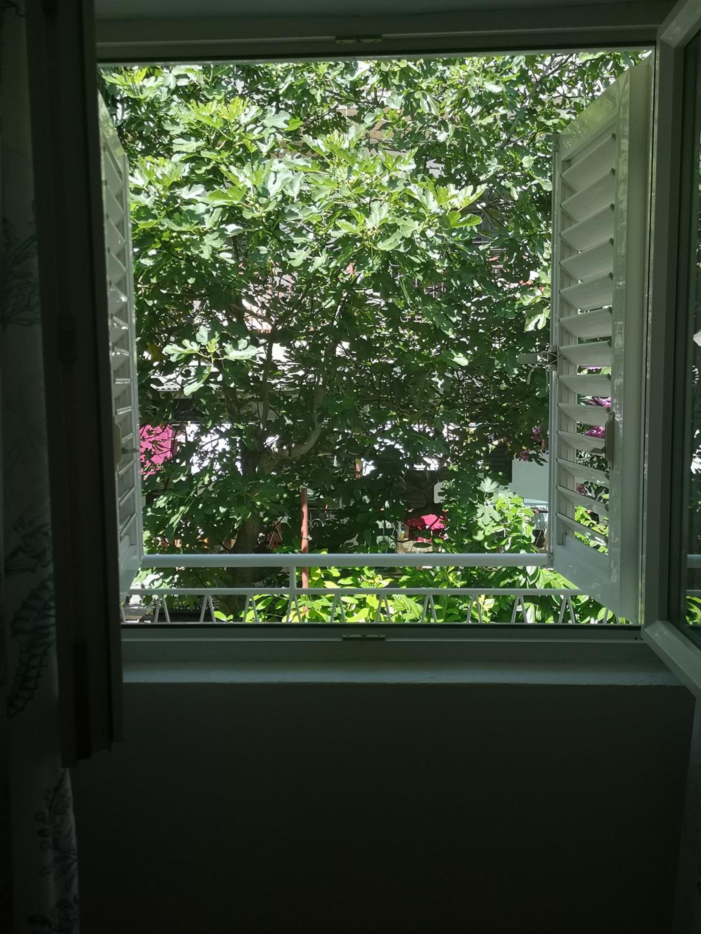 Apartman Adriatic Pavlinovic - Makarska