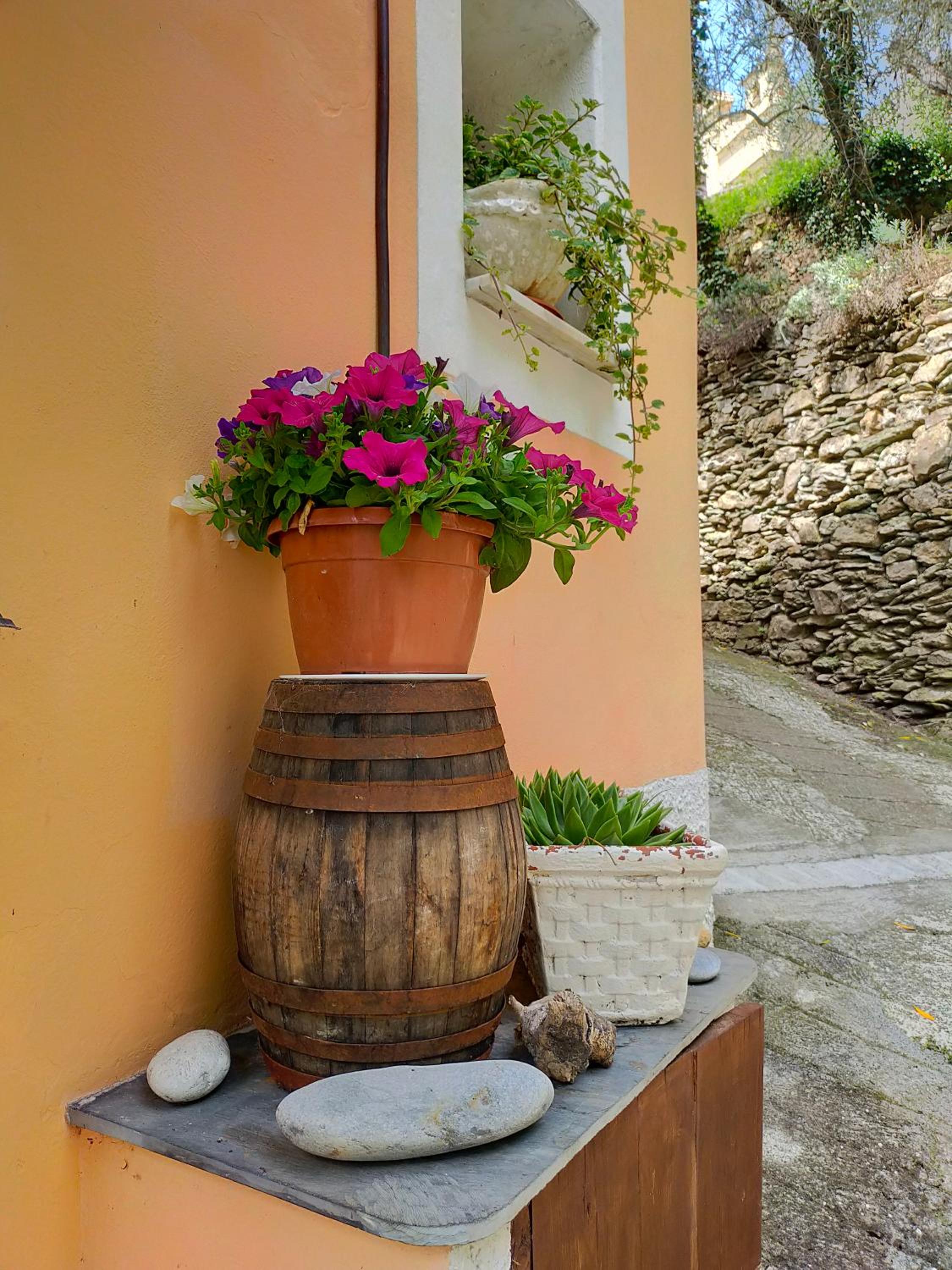 Casa Vacanze Sole