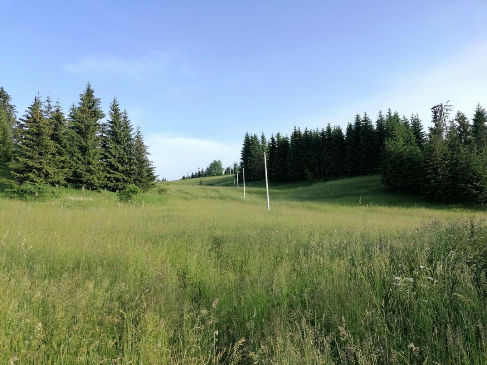 Planinska kuća Jabuka