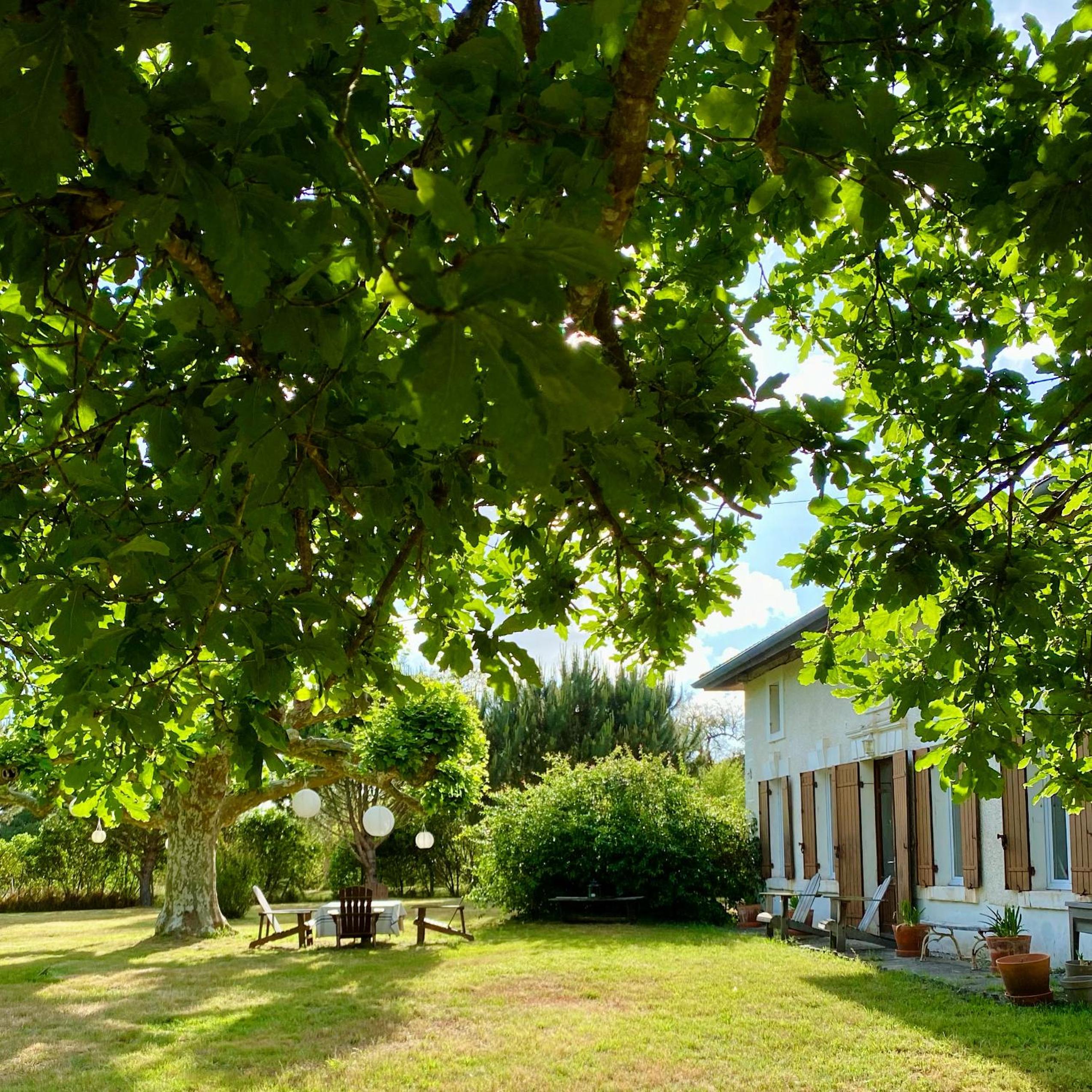 La Ferme du Miouat view 3
