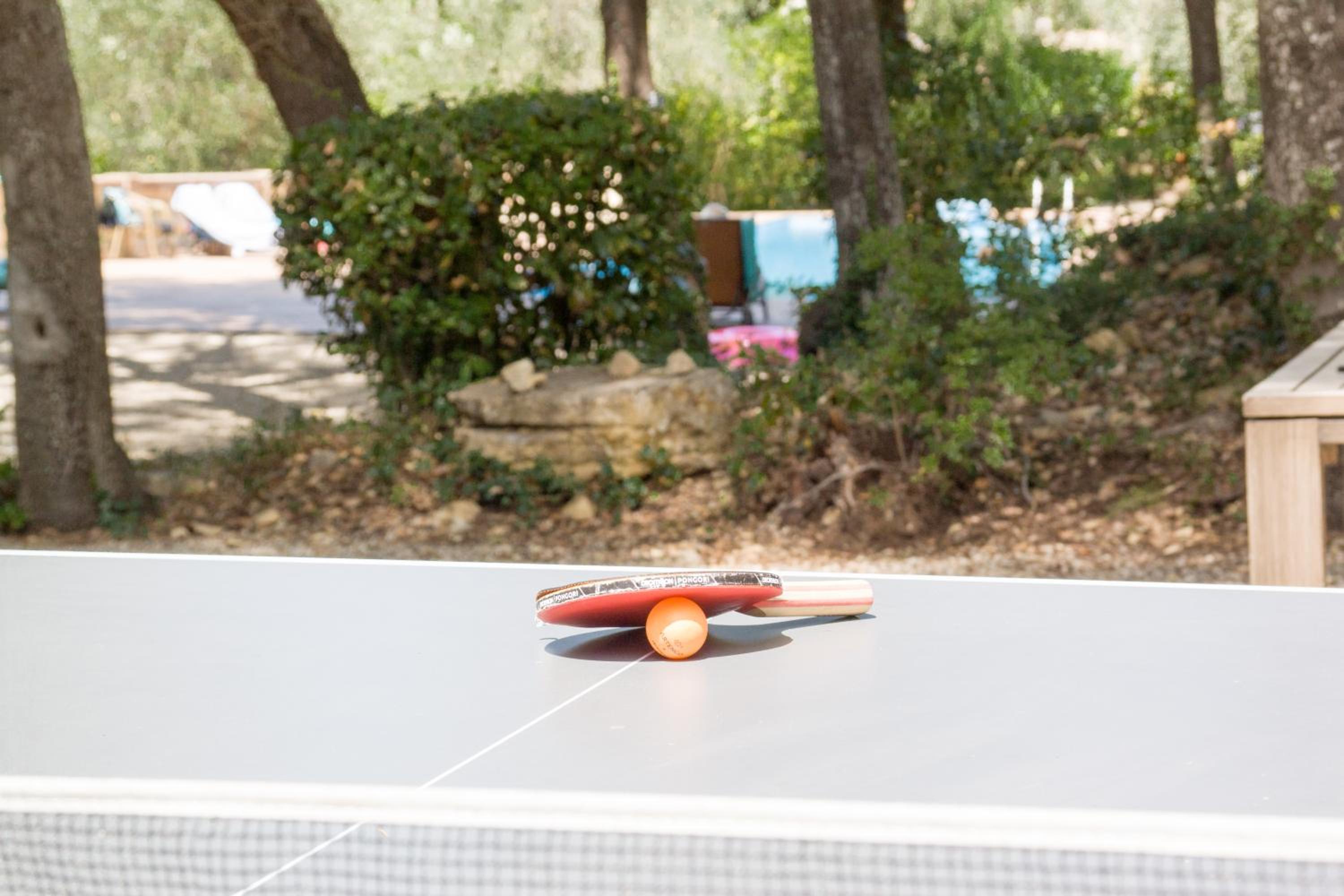 Mougins Vacations - Domaine du Paradis des Oiseaux - Property Image 3