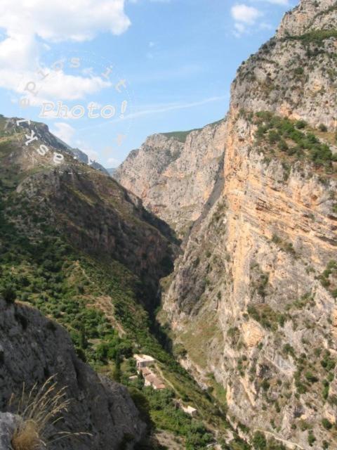Photo 47