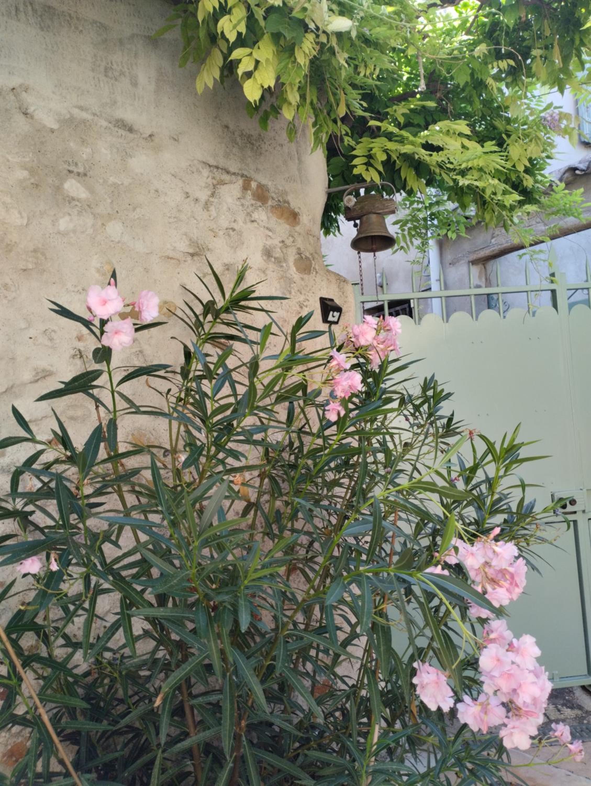 Photo 22