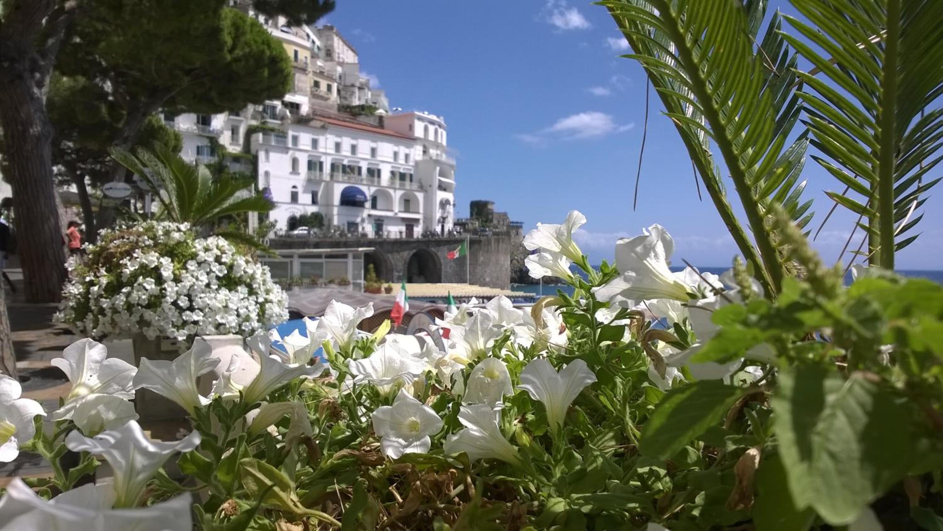 Colpo d Ali - Amazing view and Jacuzzi in Ravello