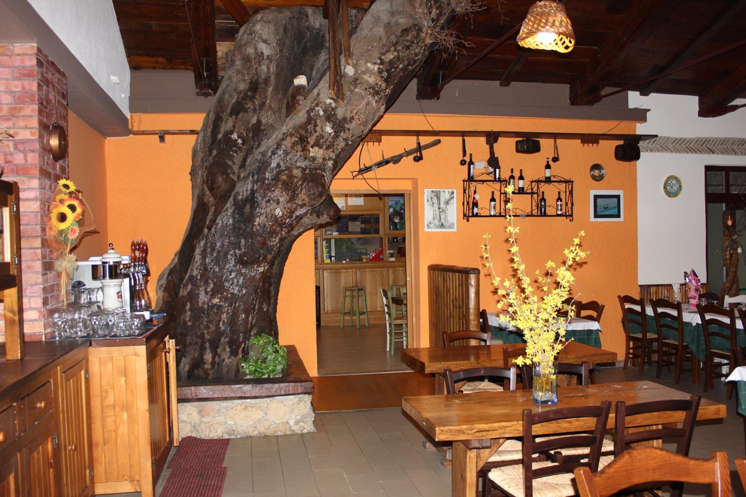 Albergo Ristorante Montecucco da Tobia photo 4