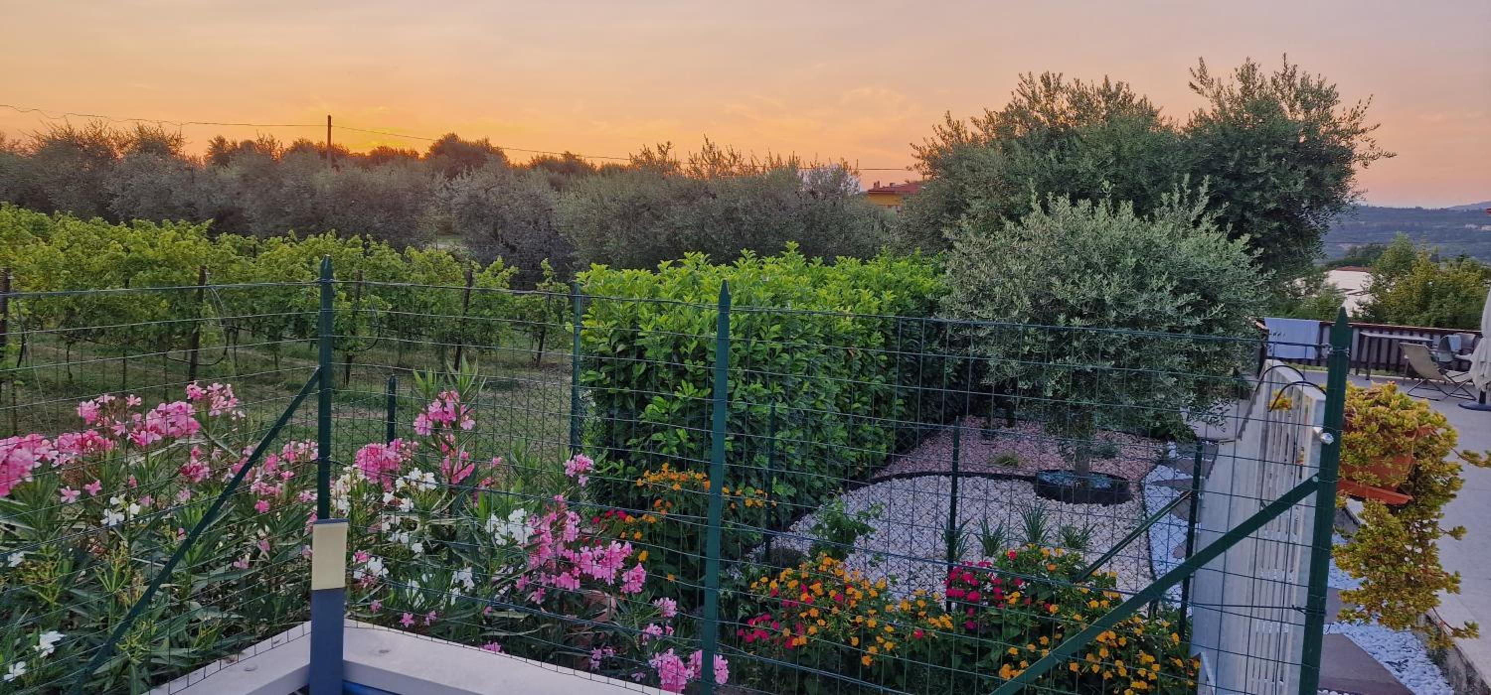 Appartamenti a Bardolino view 3