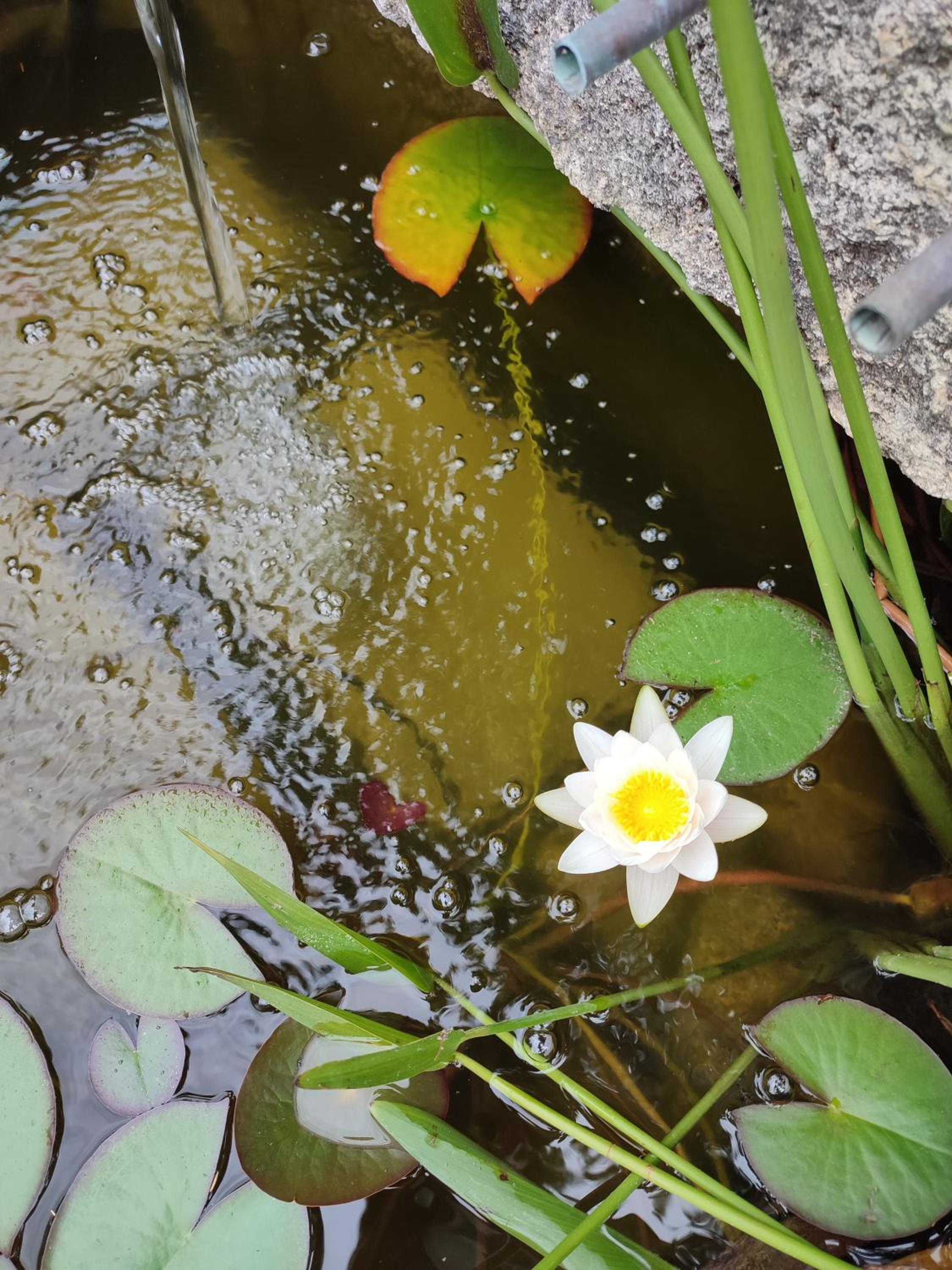 B&B La Terre Brûlée