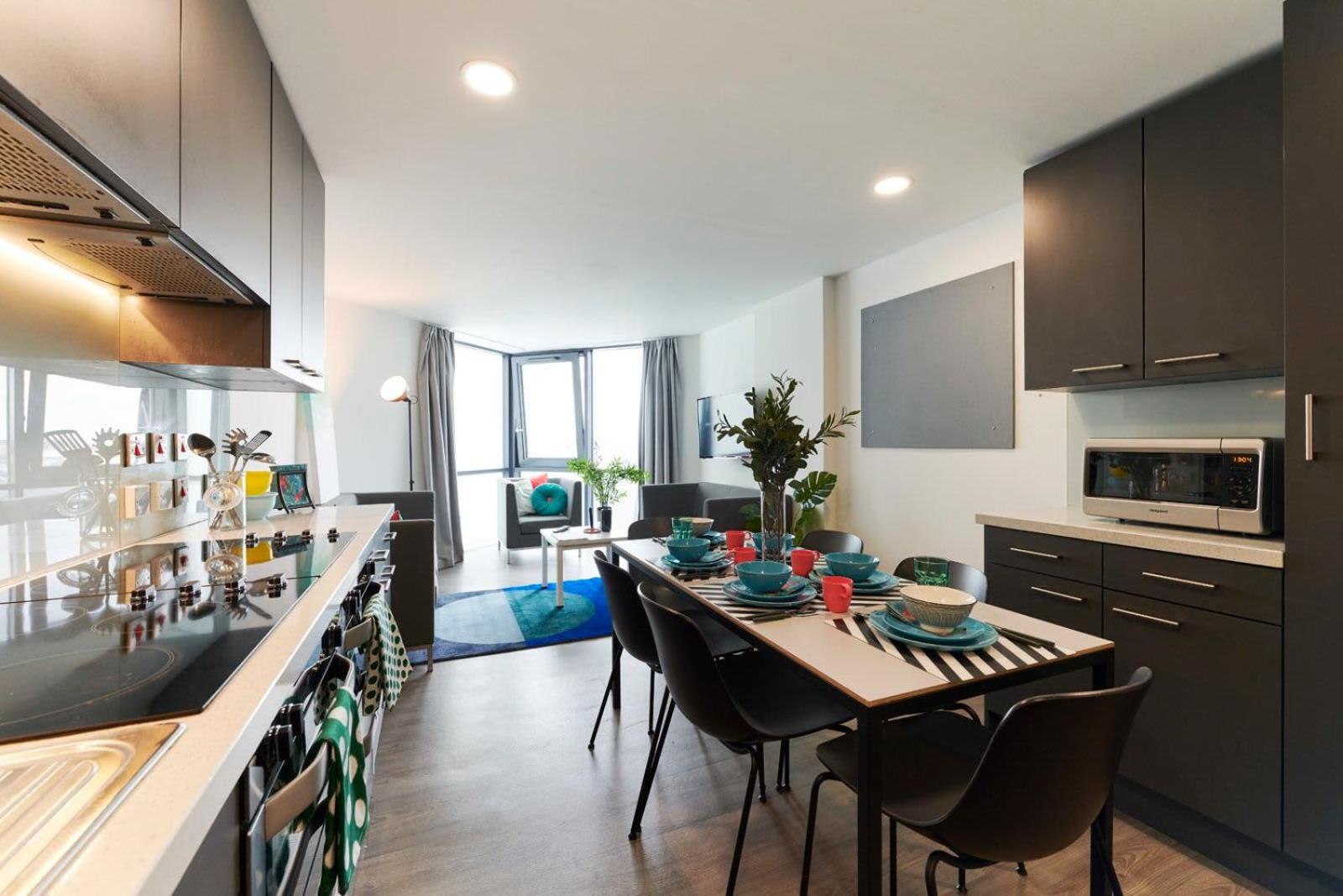 Chic Apartments and Private Bedrooms at Beckett House near Dublin City Centre