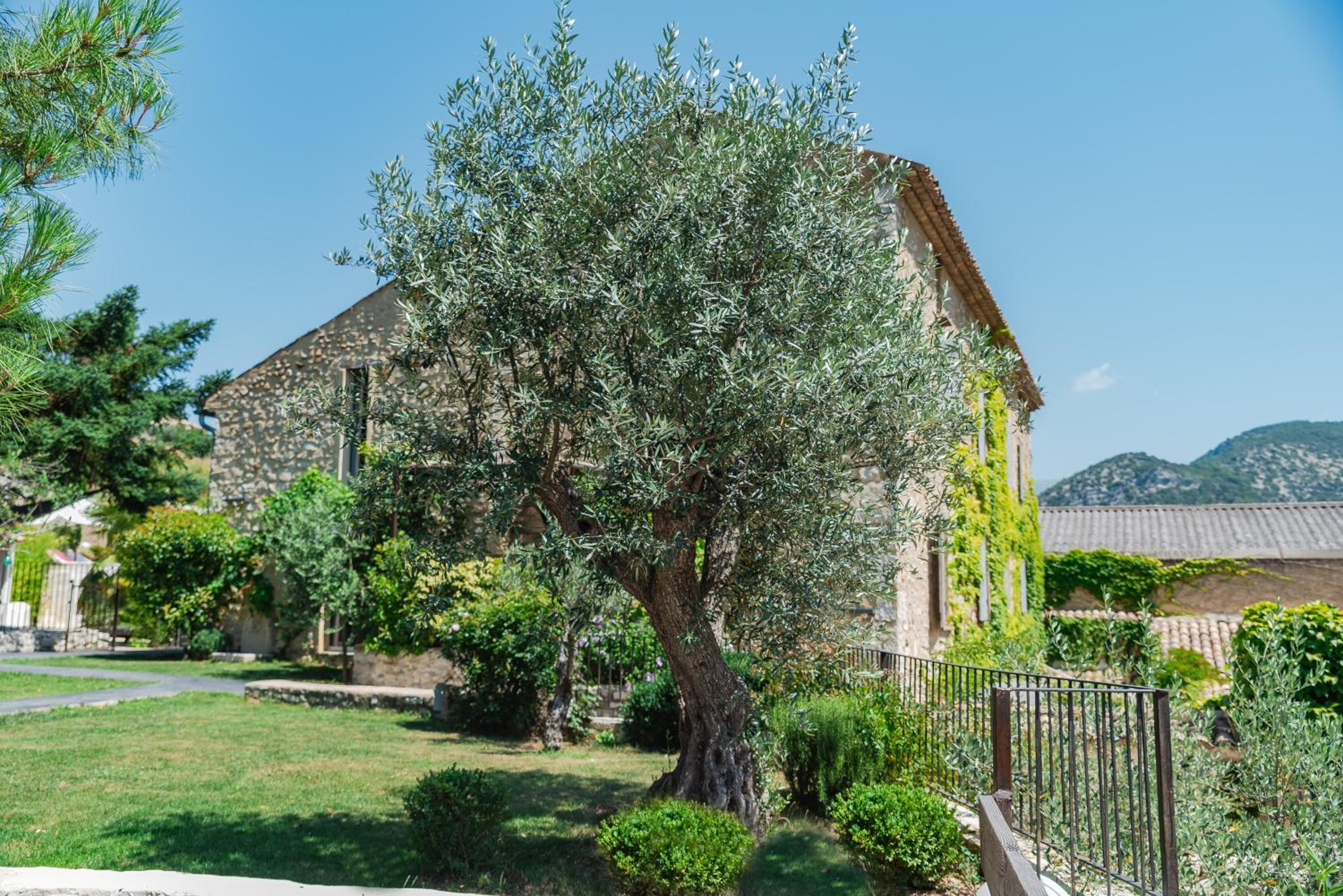 DODO et cetera - La Bastide du Vieux Chêne - TERITORIA