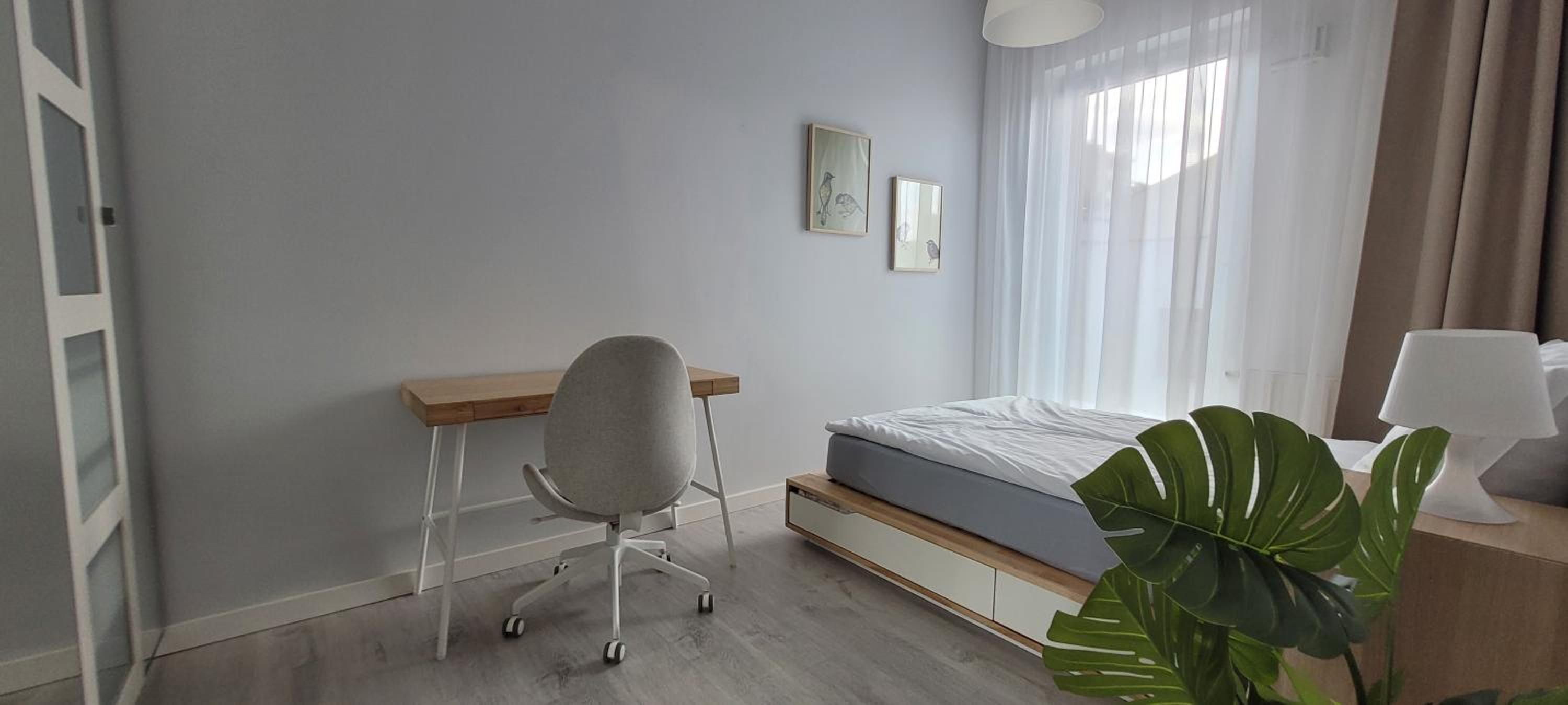 Apartament 39 view 2