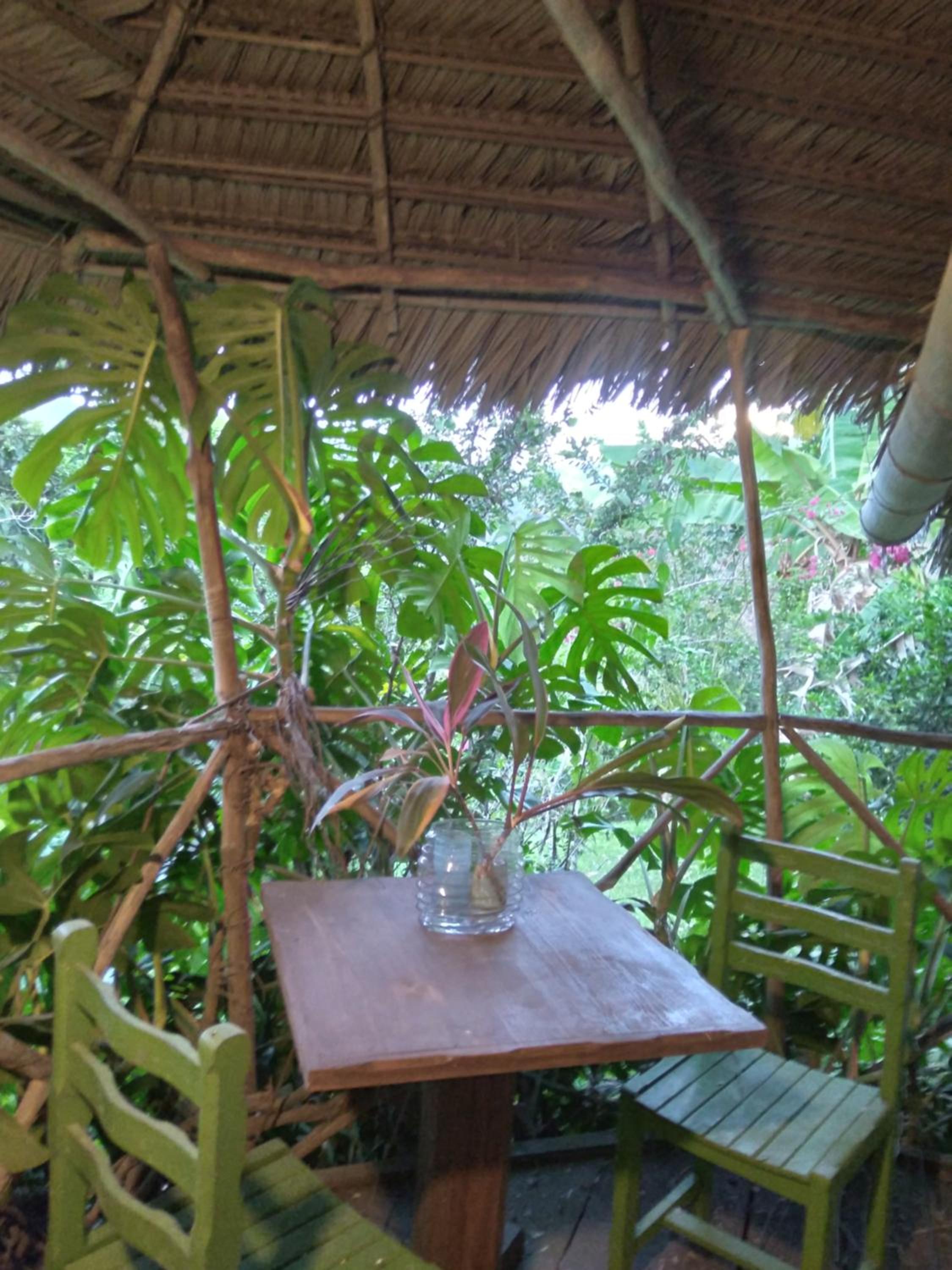Cloud forest SAN CARLOS