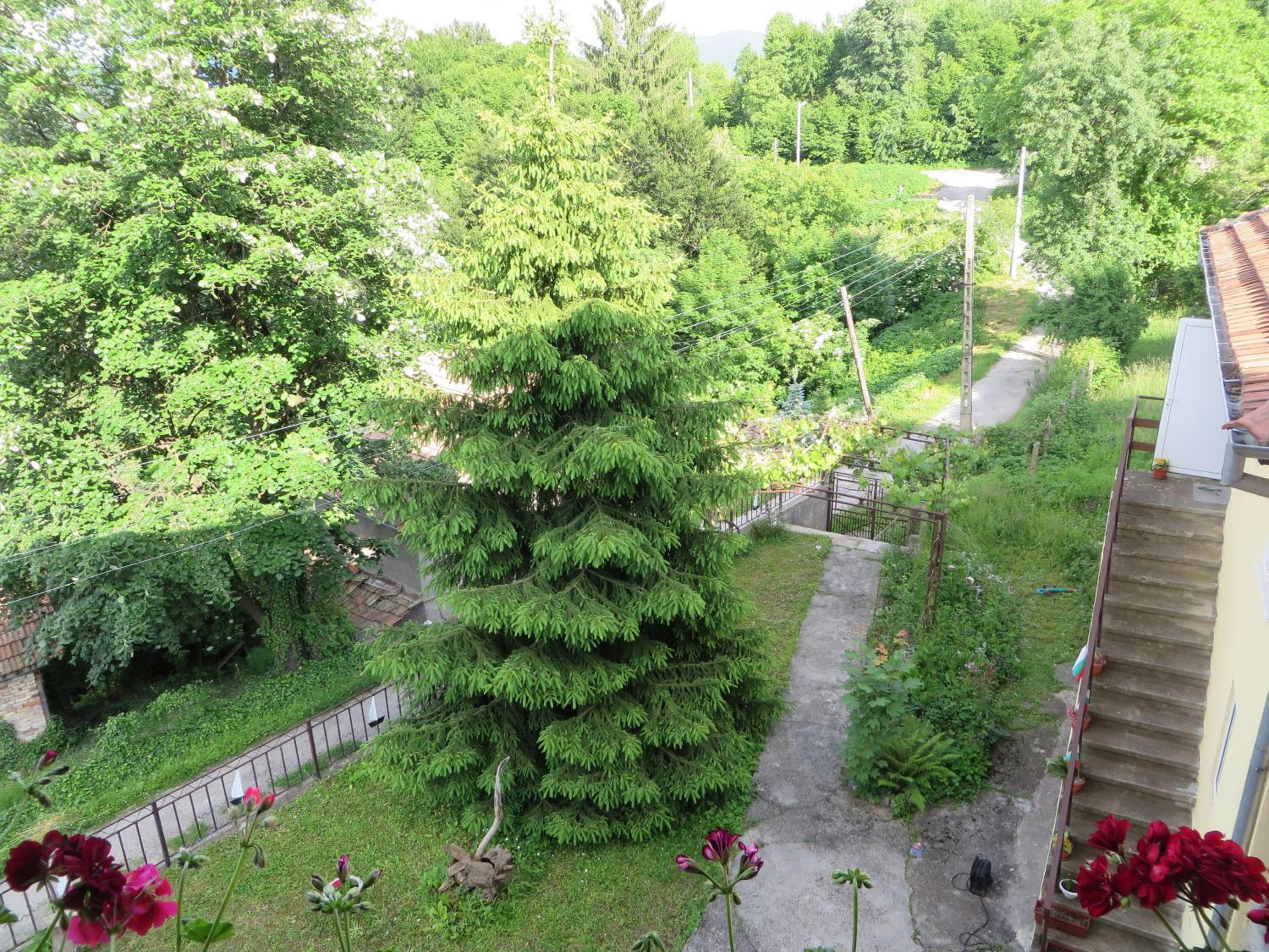 Guest House Daskalov