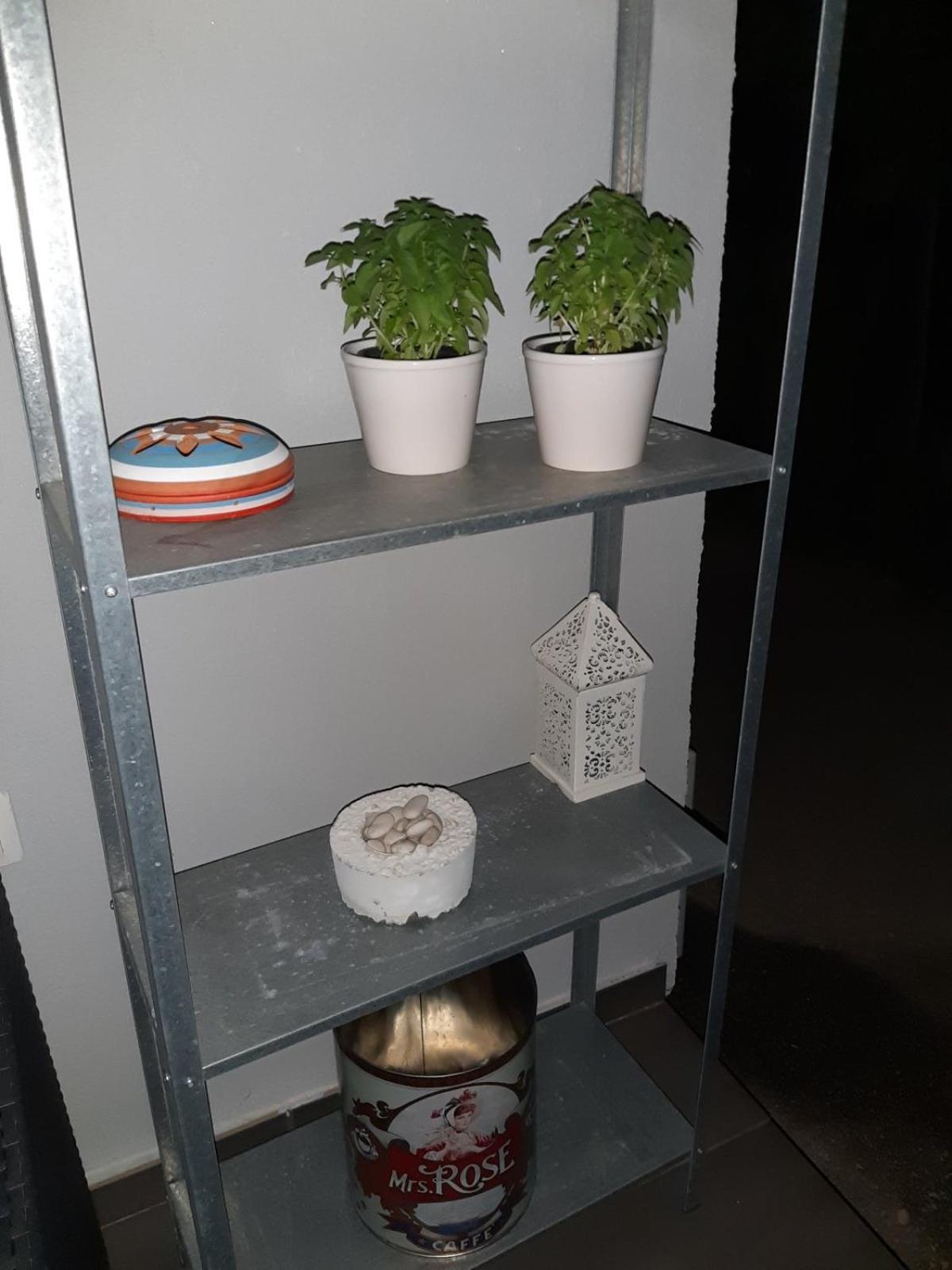 Photo 45