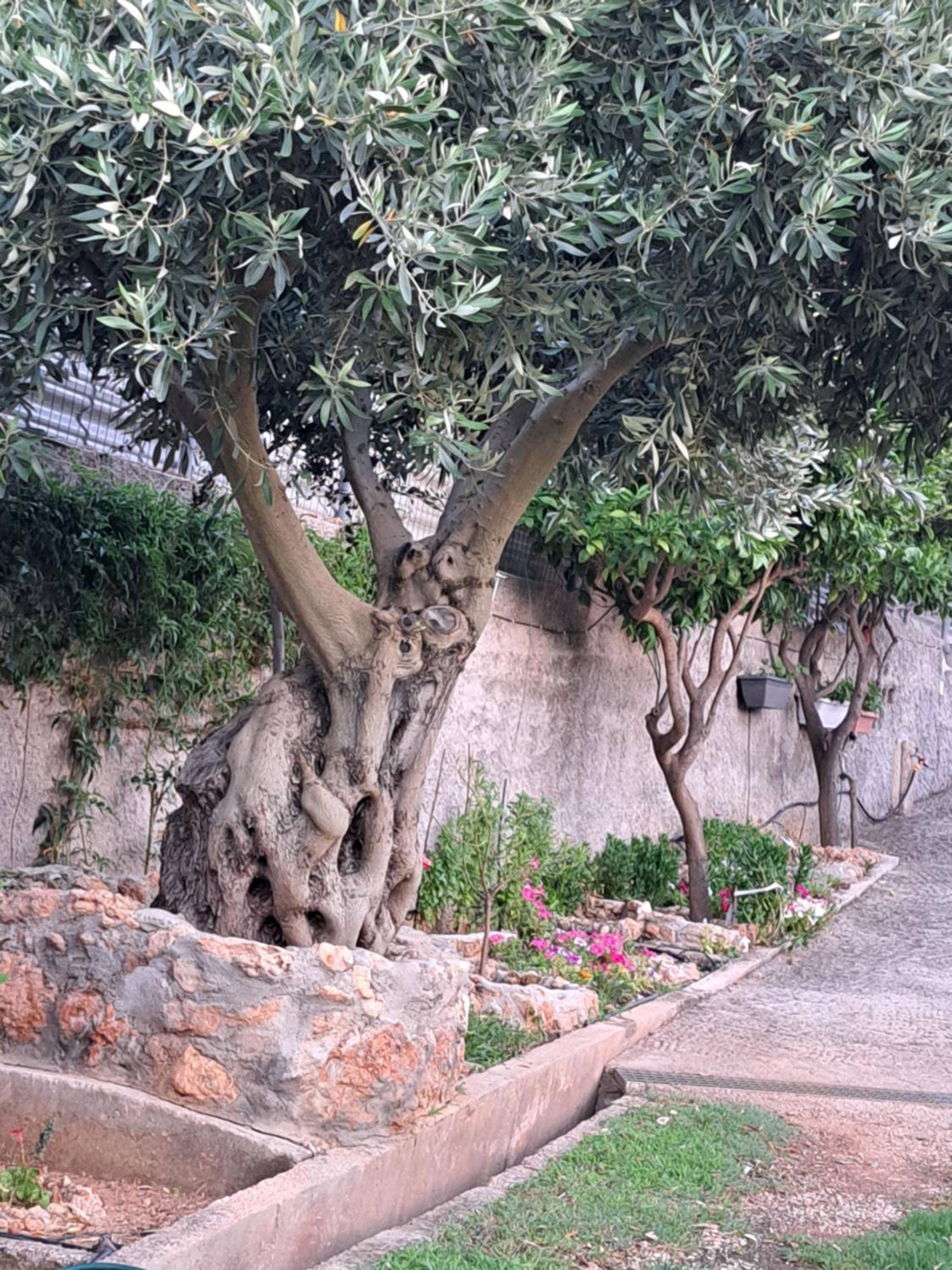 Garden House-Free transfer from airport view 5