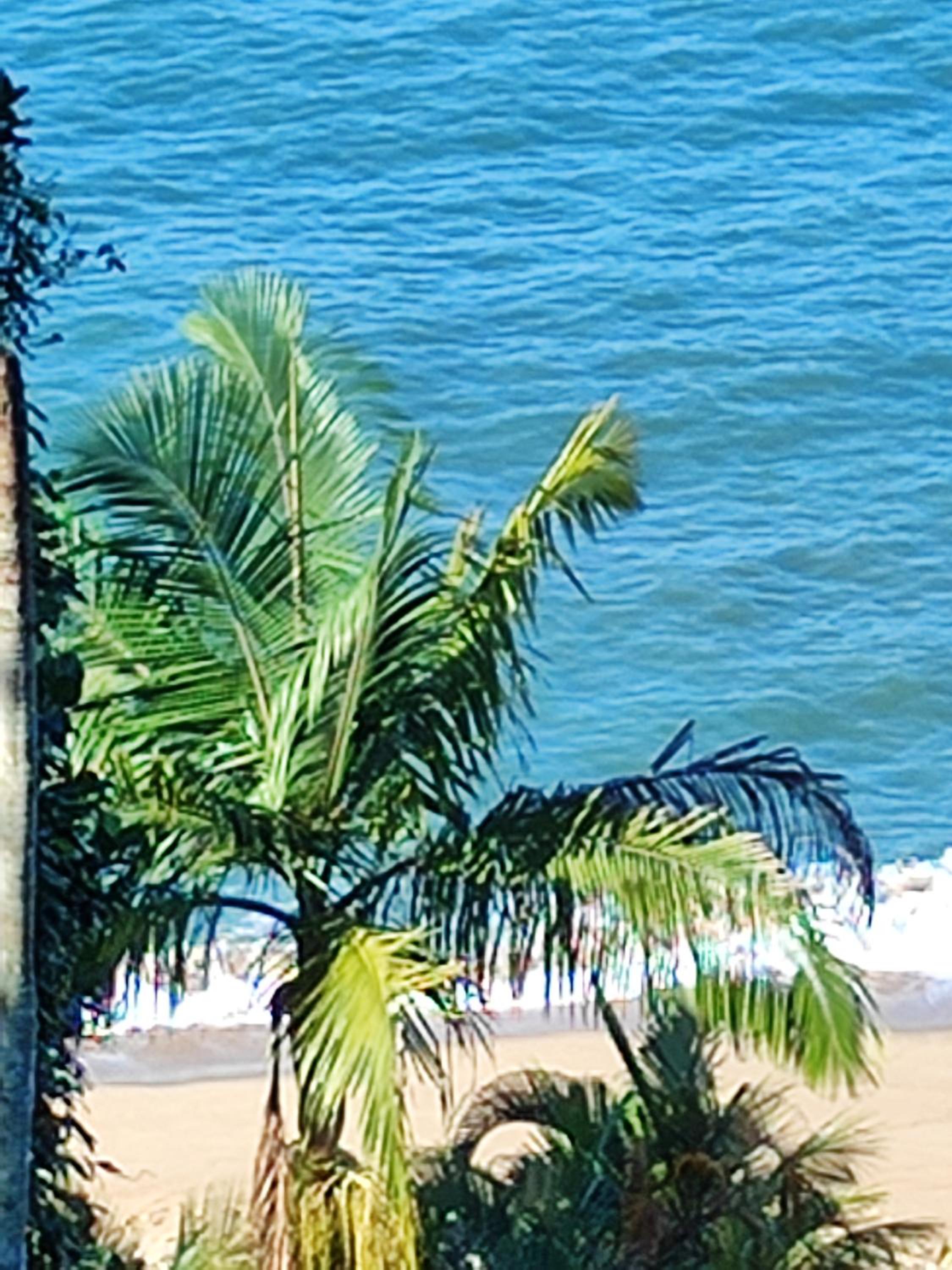 Apartamento aconchegante em Porto Real Resort