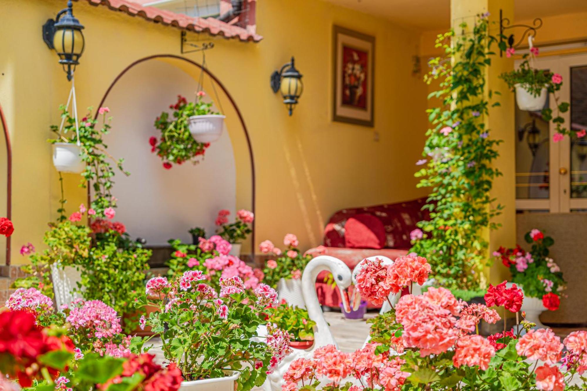 Boutique Guest House 'Sofia'