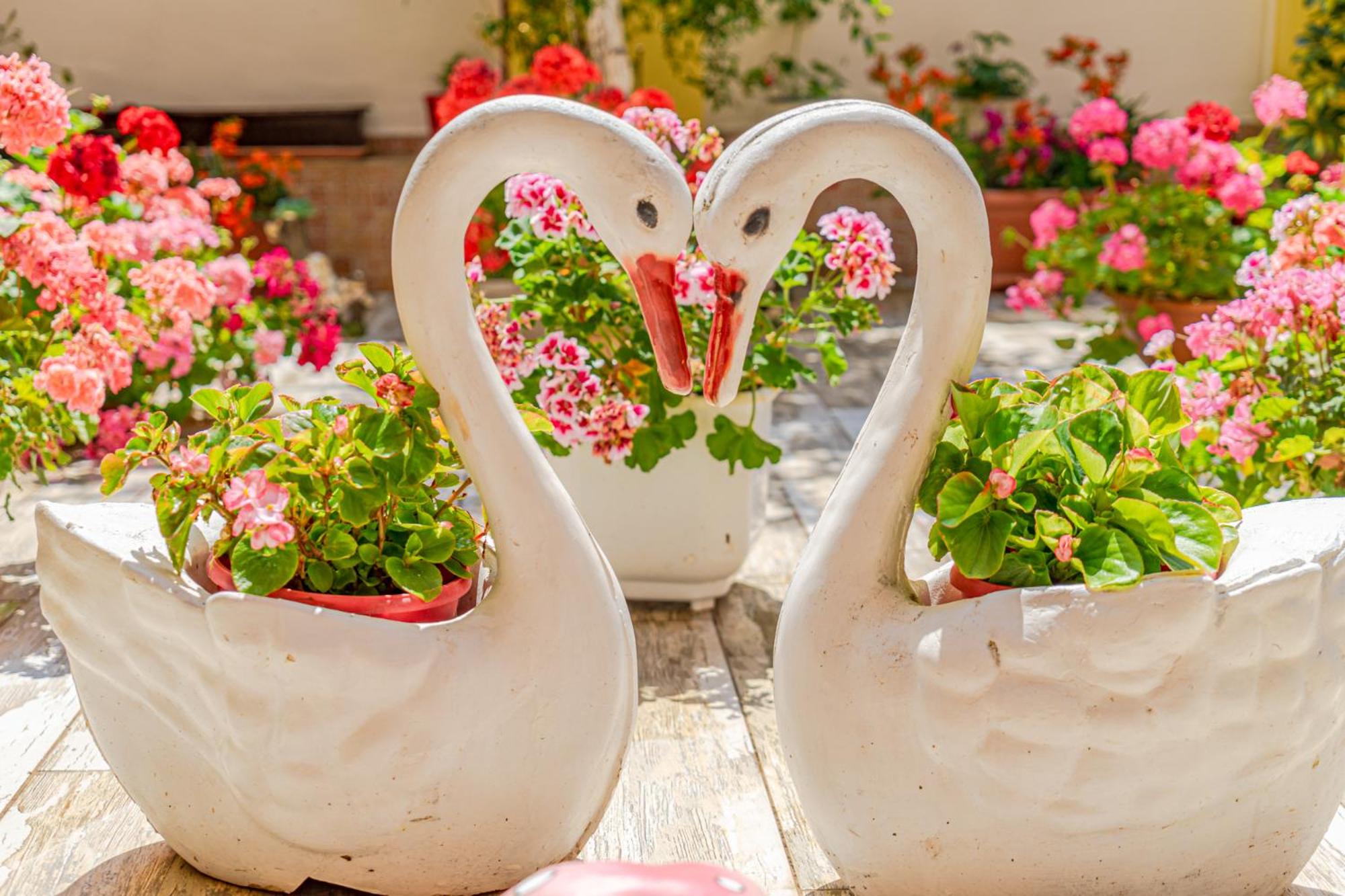 Boutique Guest House 'Sofia'
