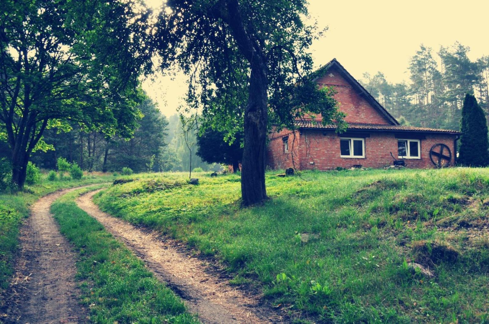 Photo 29