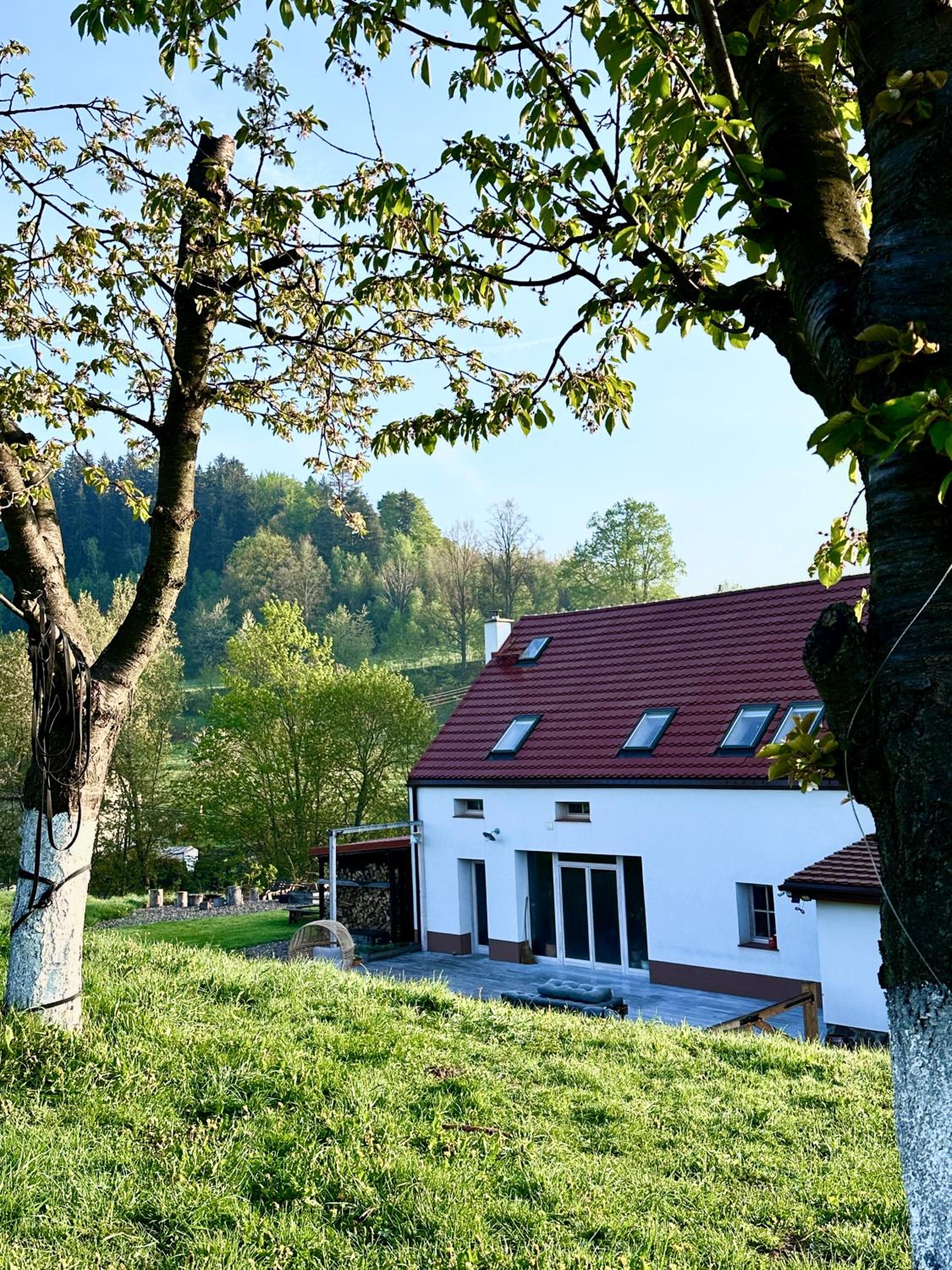 Zapomnienie view 2