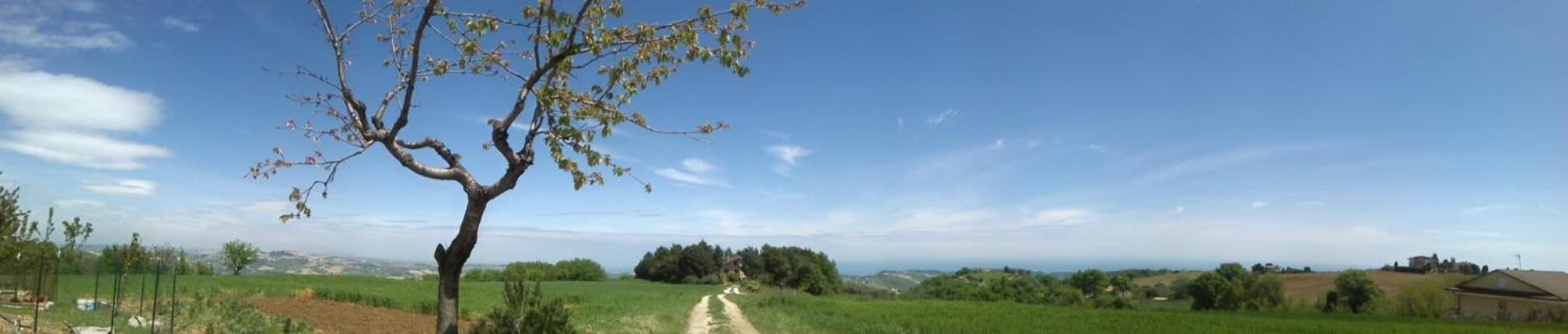 B&B Il Nido Di Alice