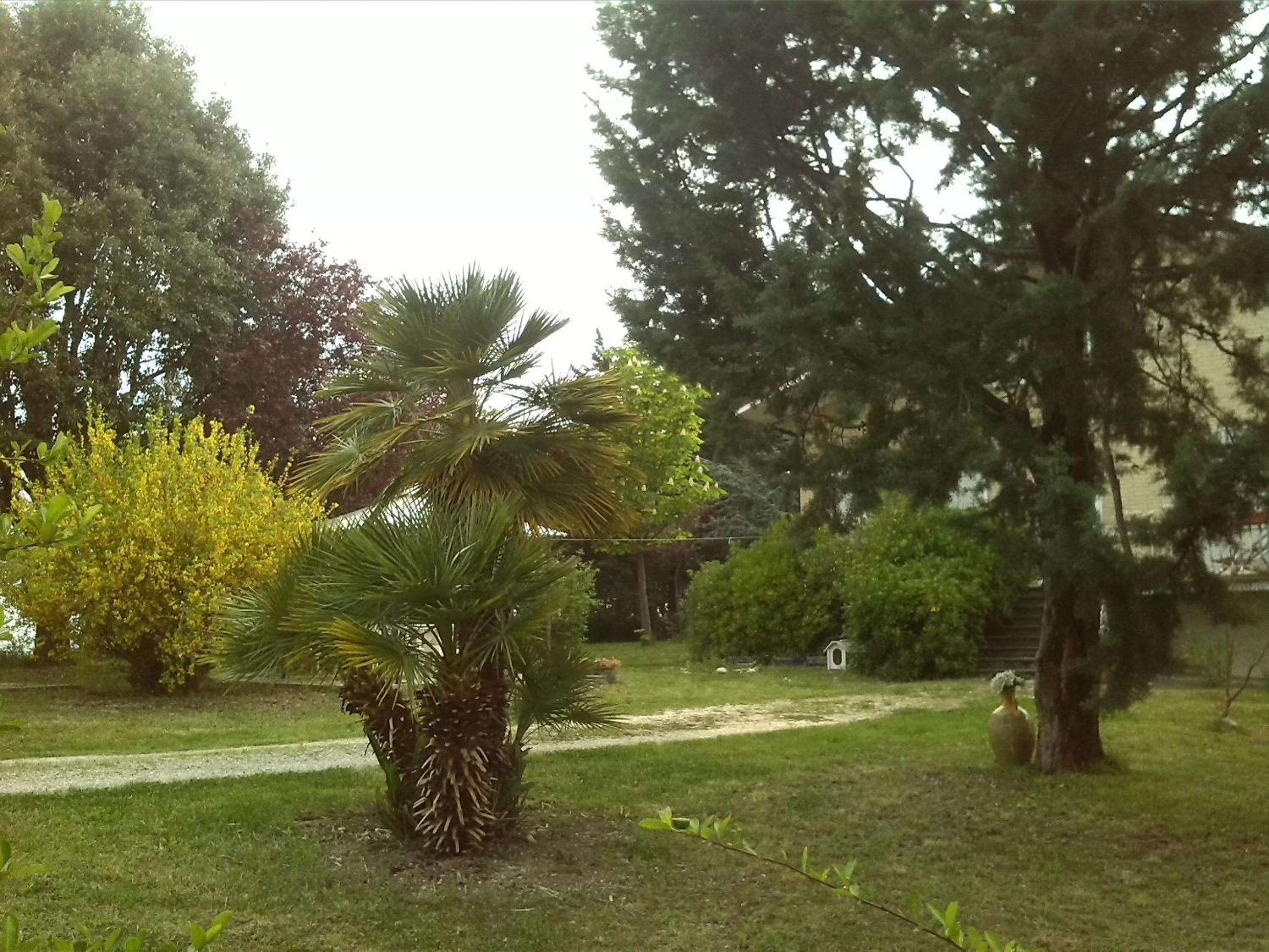 B&B Il Nido Di Alice