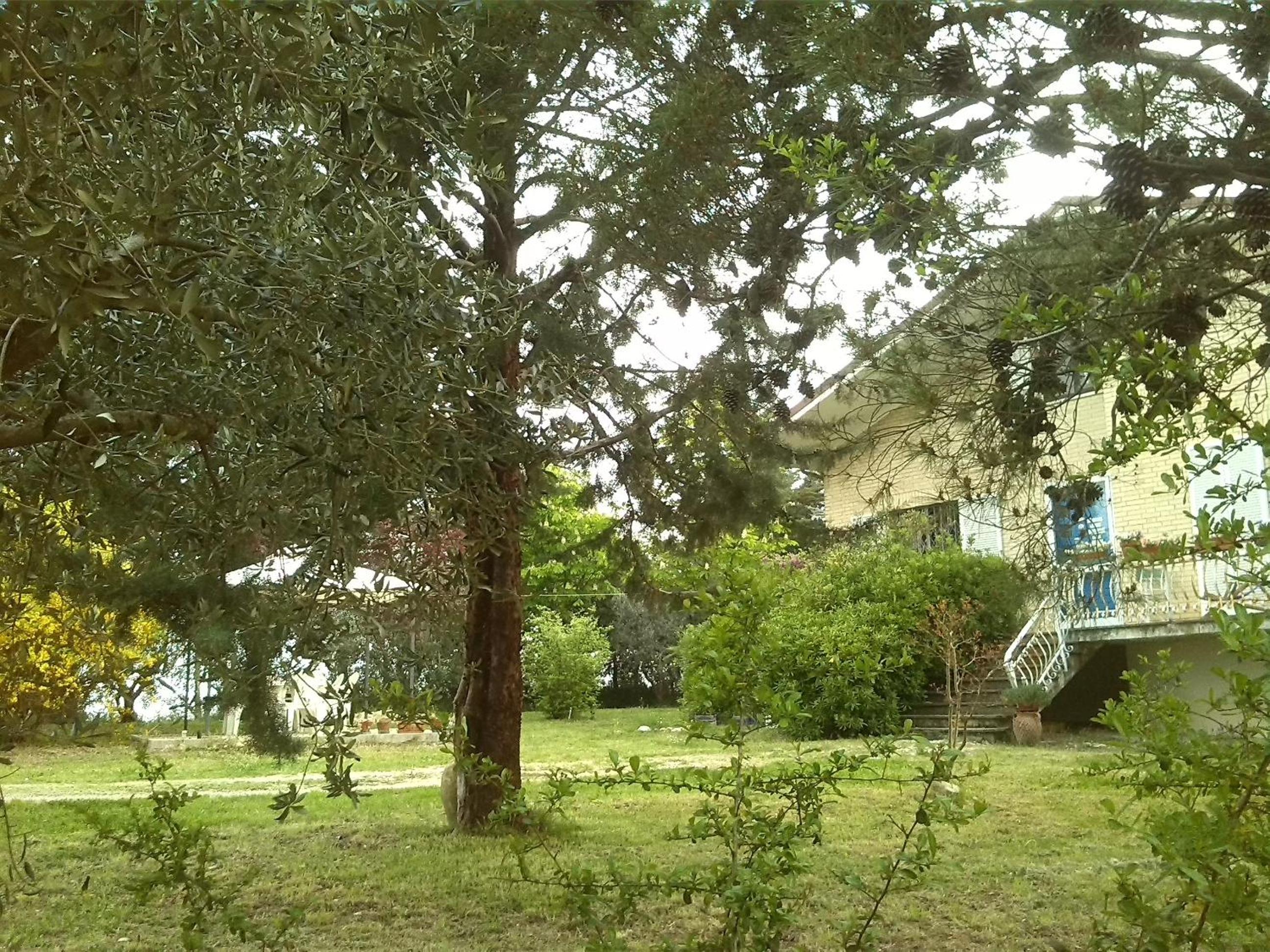 B&B Il Nido Di Alice