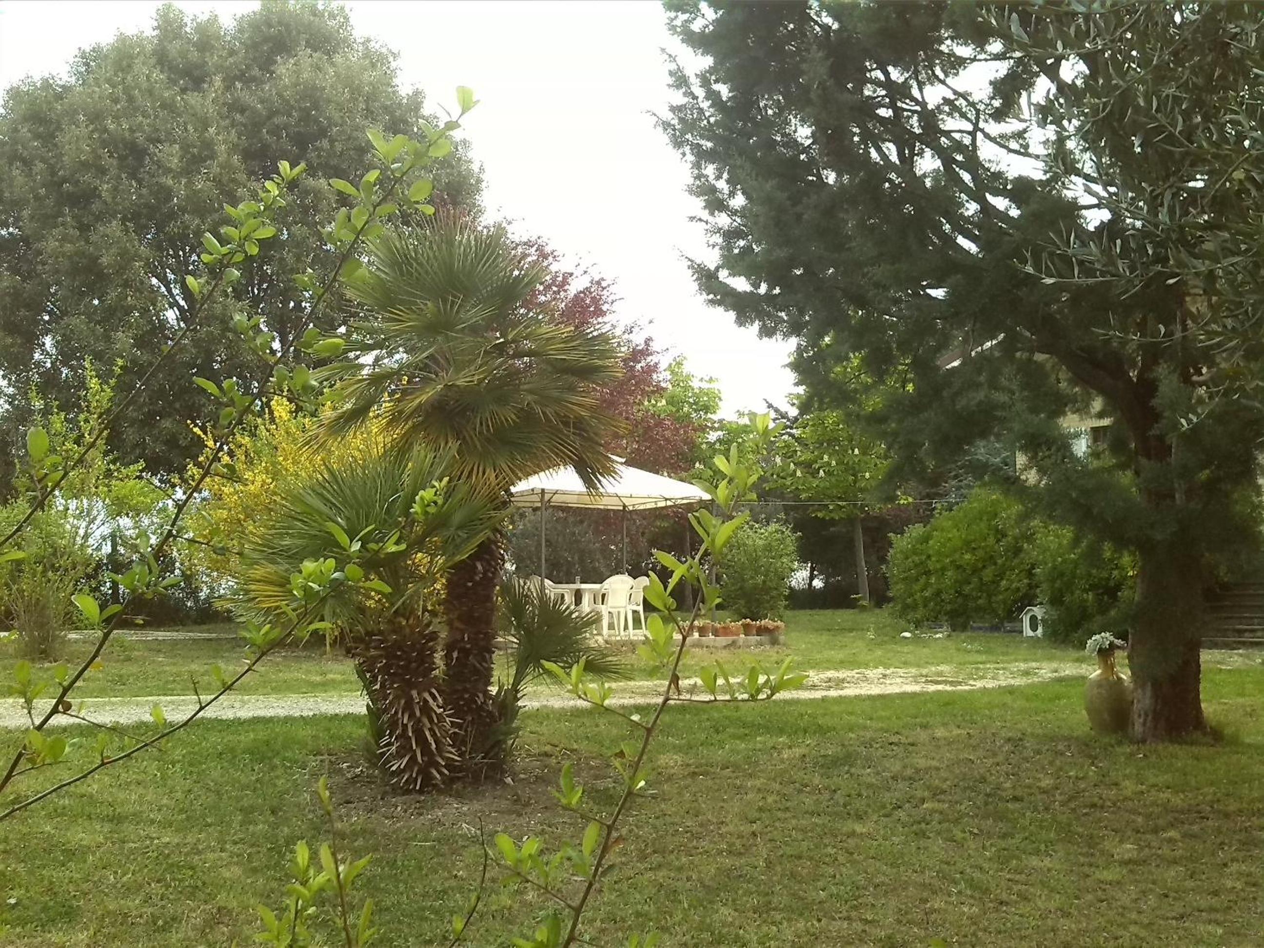 B&B Il Nido Di Alice