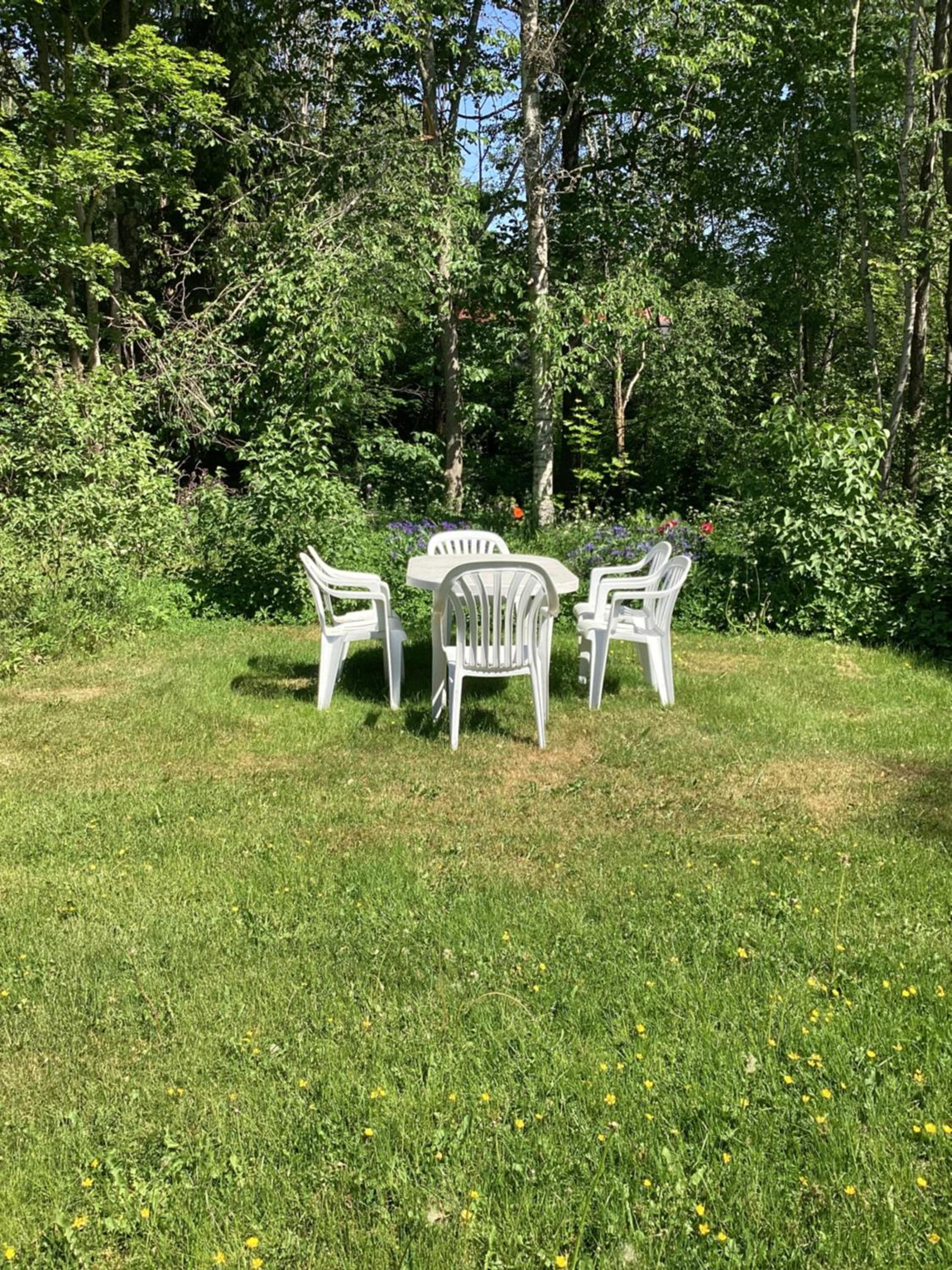 Photo 21