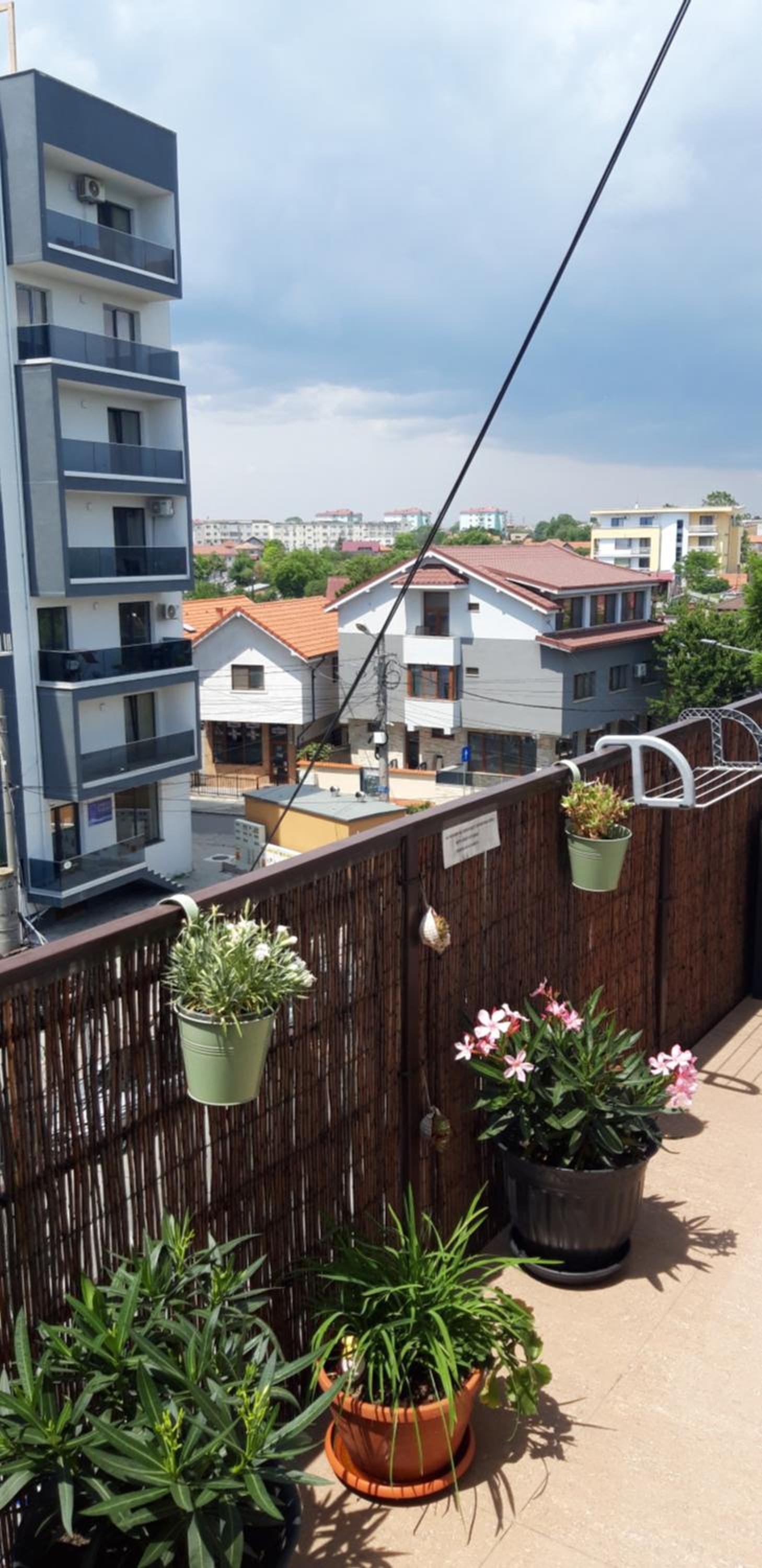 Studio Callatis Central - adults only view 4