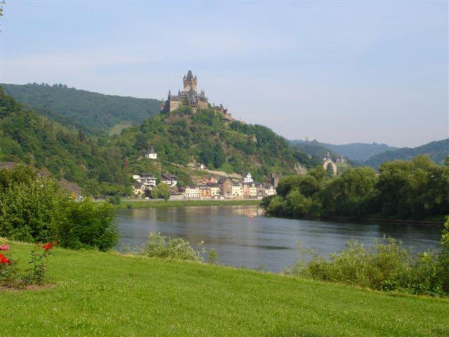 Photo 44