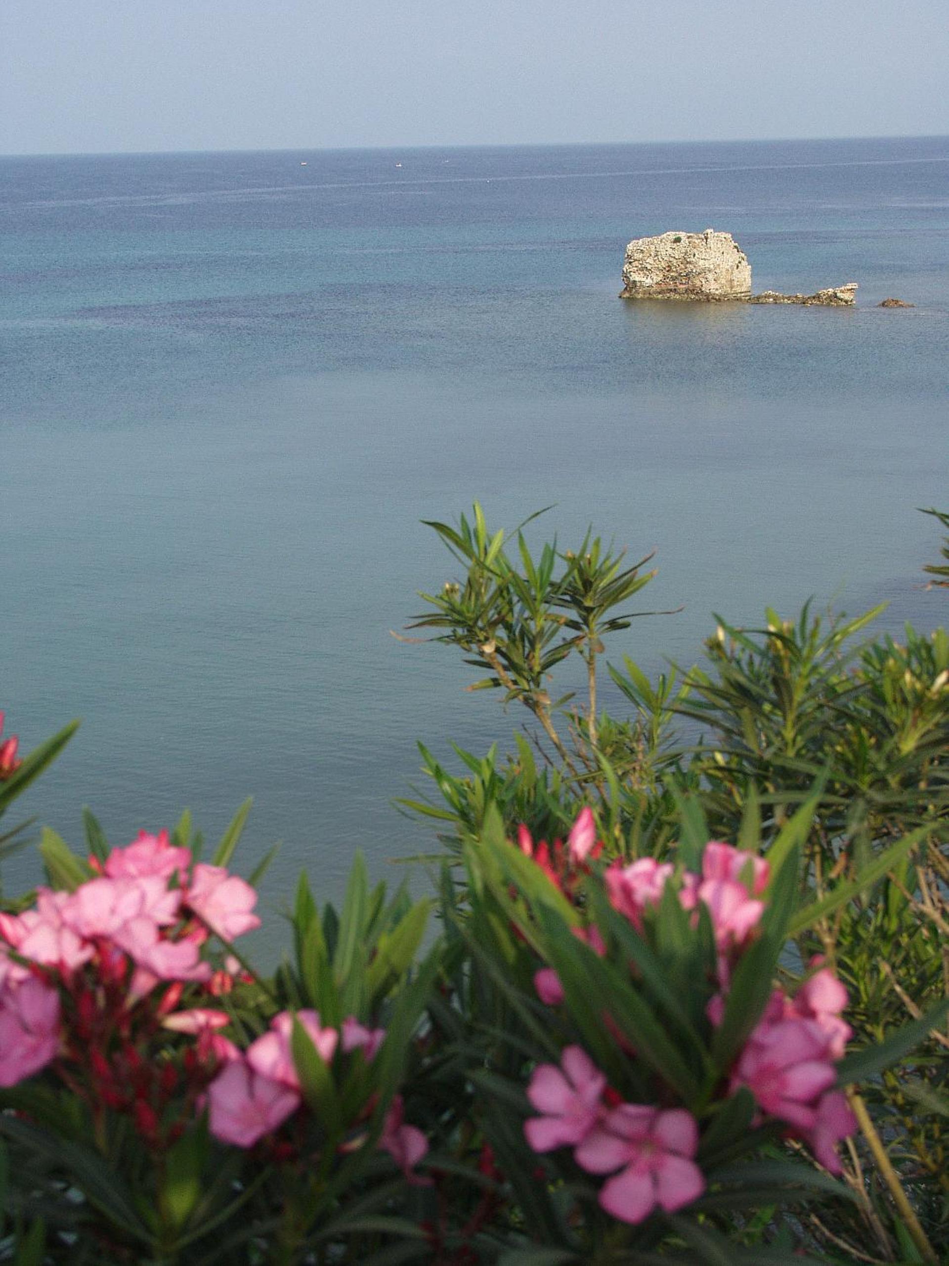 Seaview Aparthotel