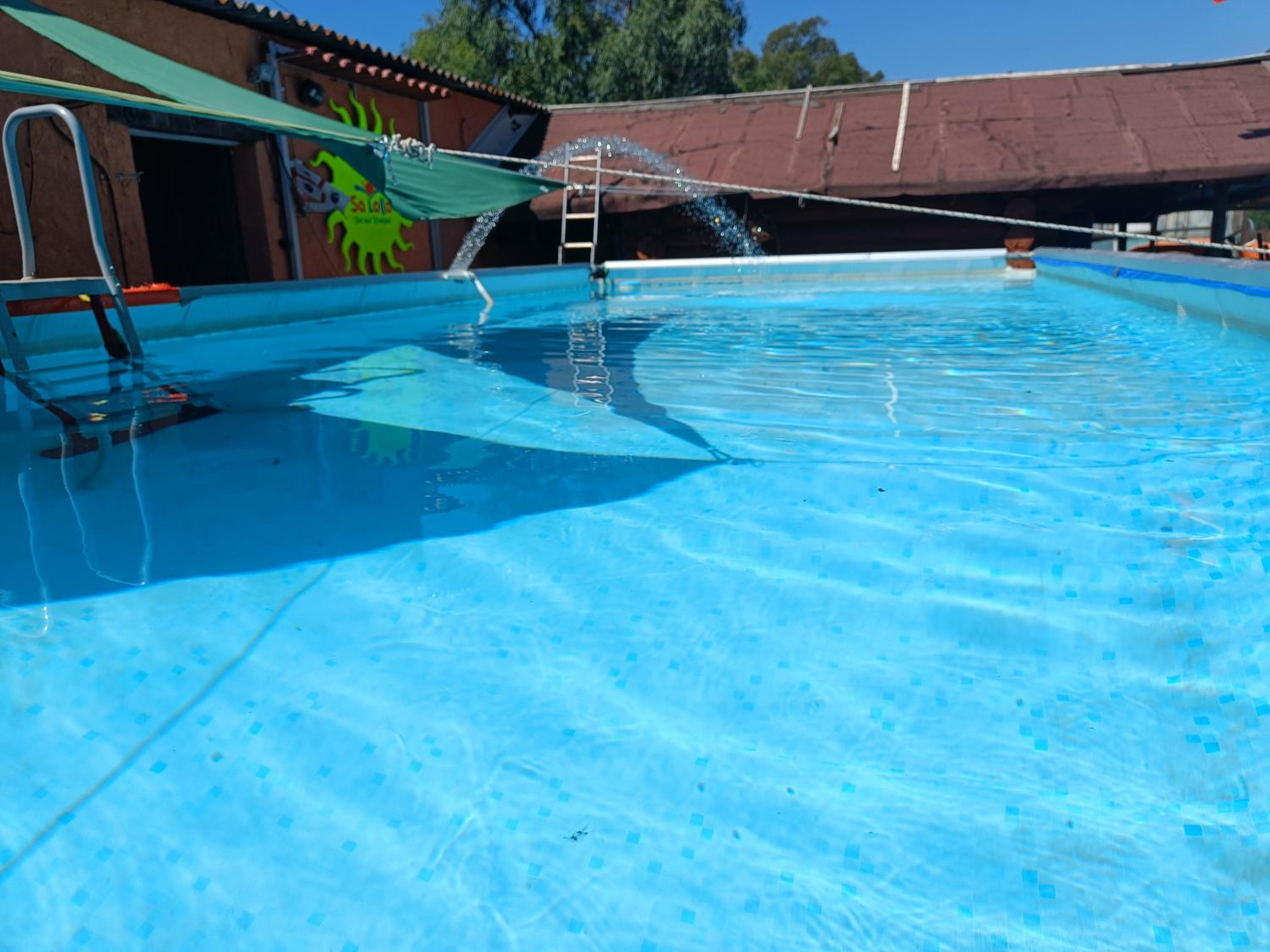 Salolla photo 3