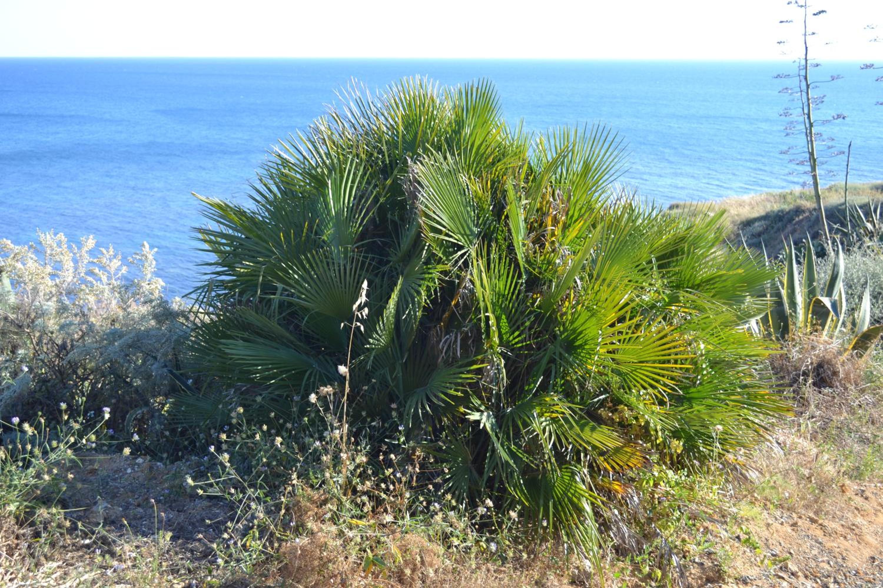 Photo 30