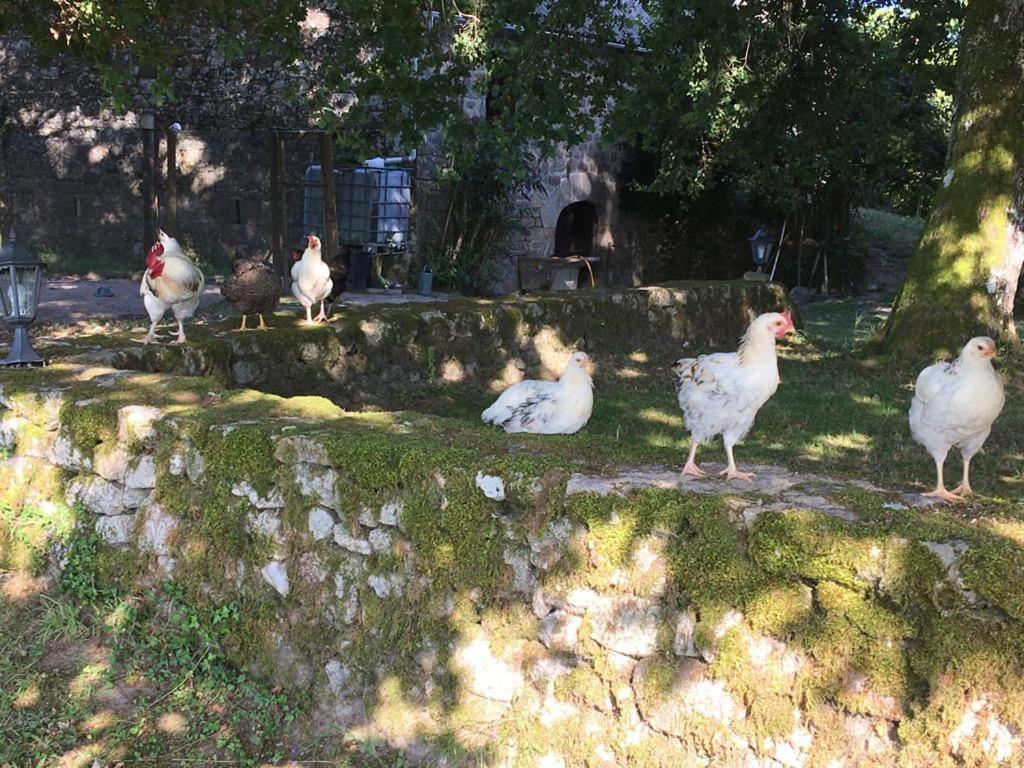 Gite Les Sources view 4
