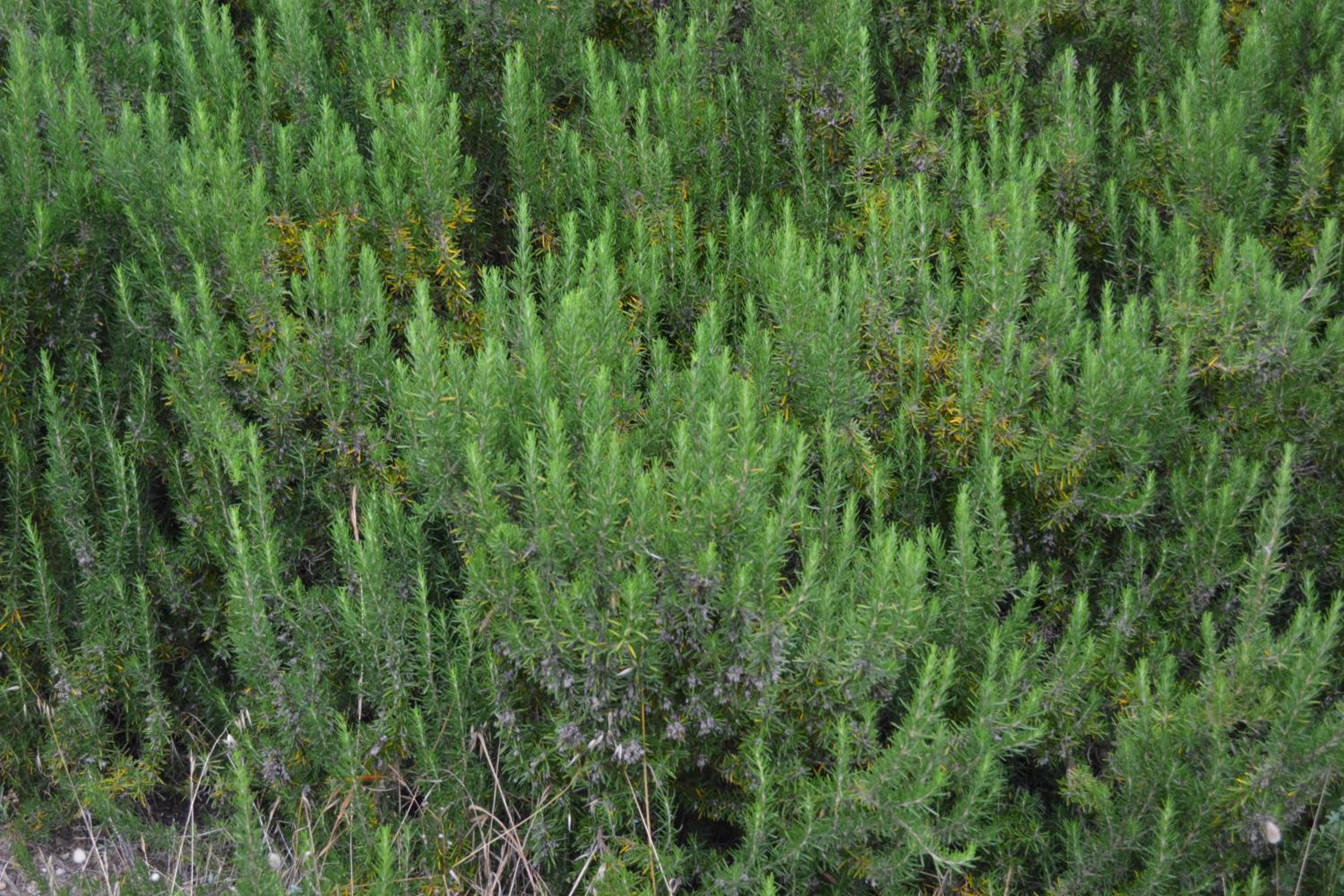 Photo 24