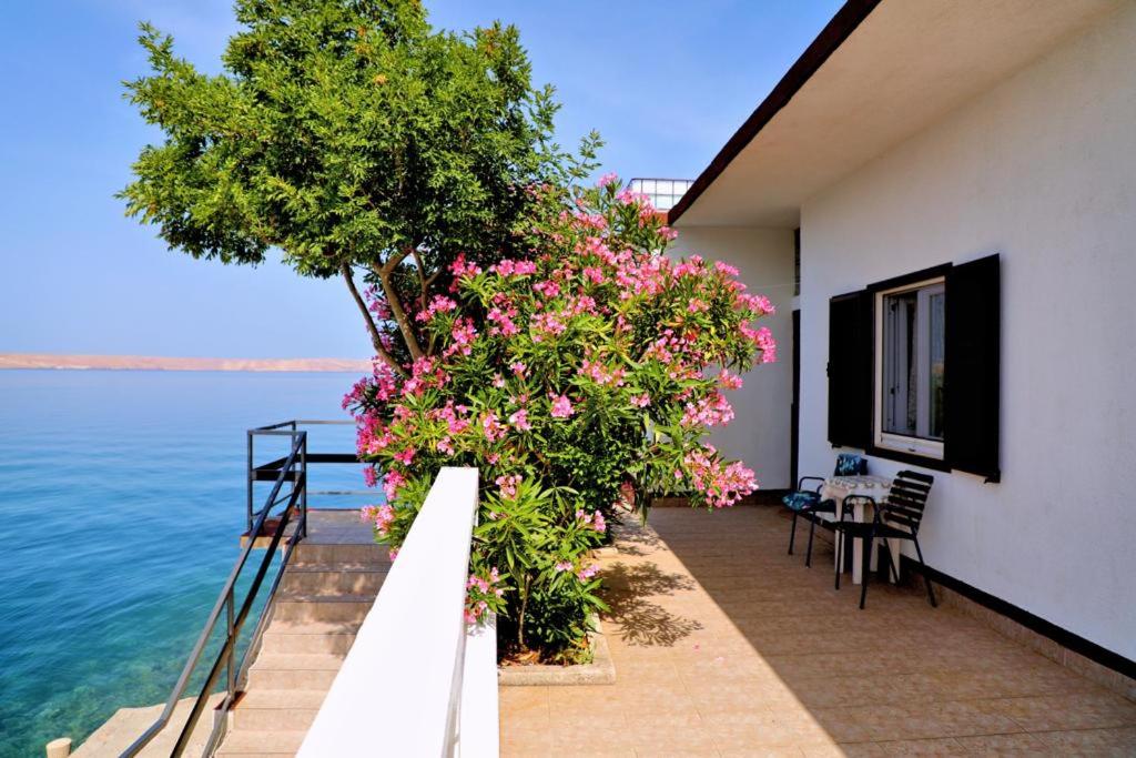 Kuća za odmor DRAGA view 4