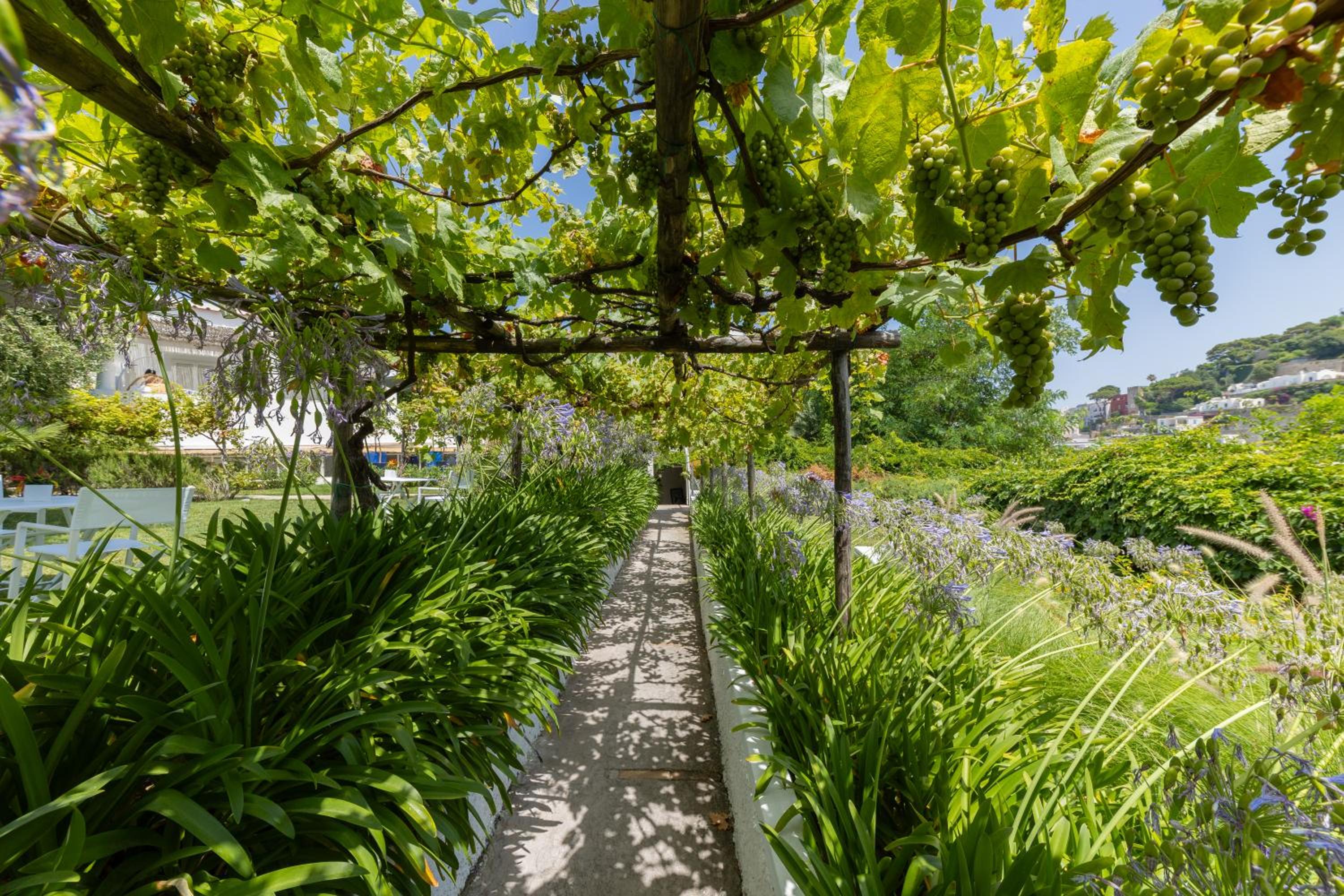 Villa La Pergola Capri